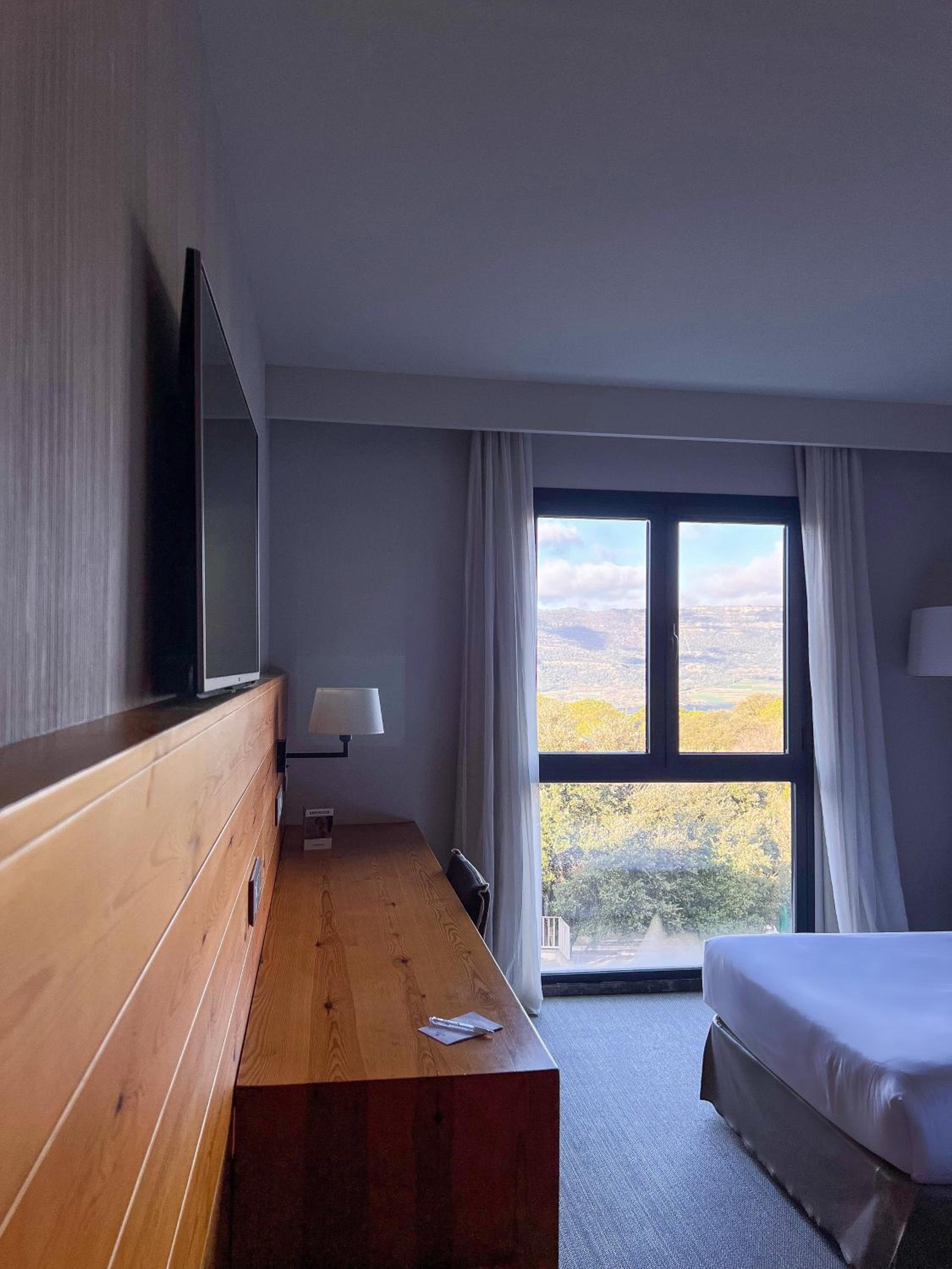 Double or Twin Room with Mountain View - Photo 4