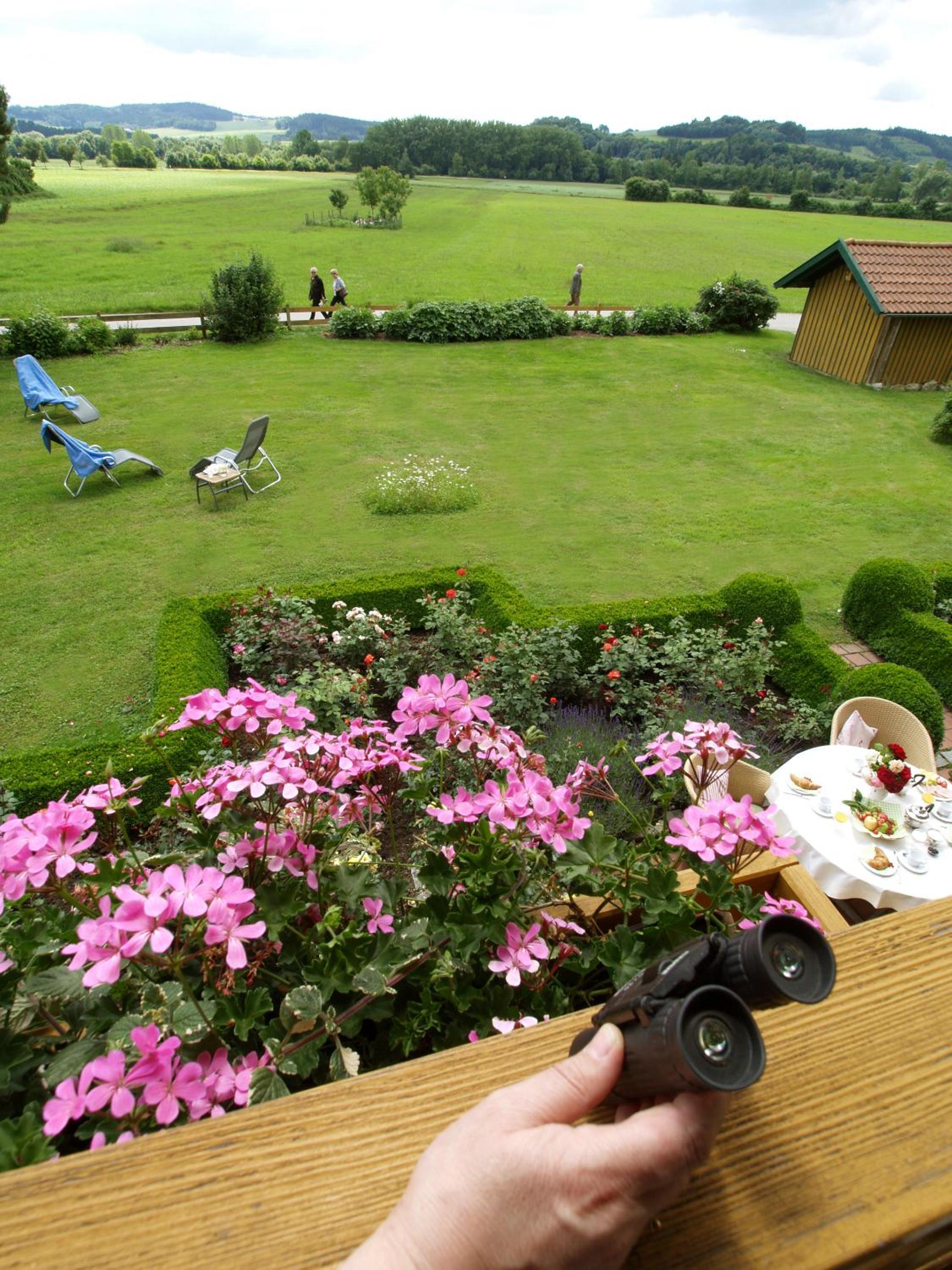 Double Room with South-facing Balcony  - Photo 4