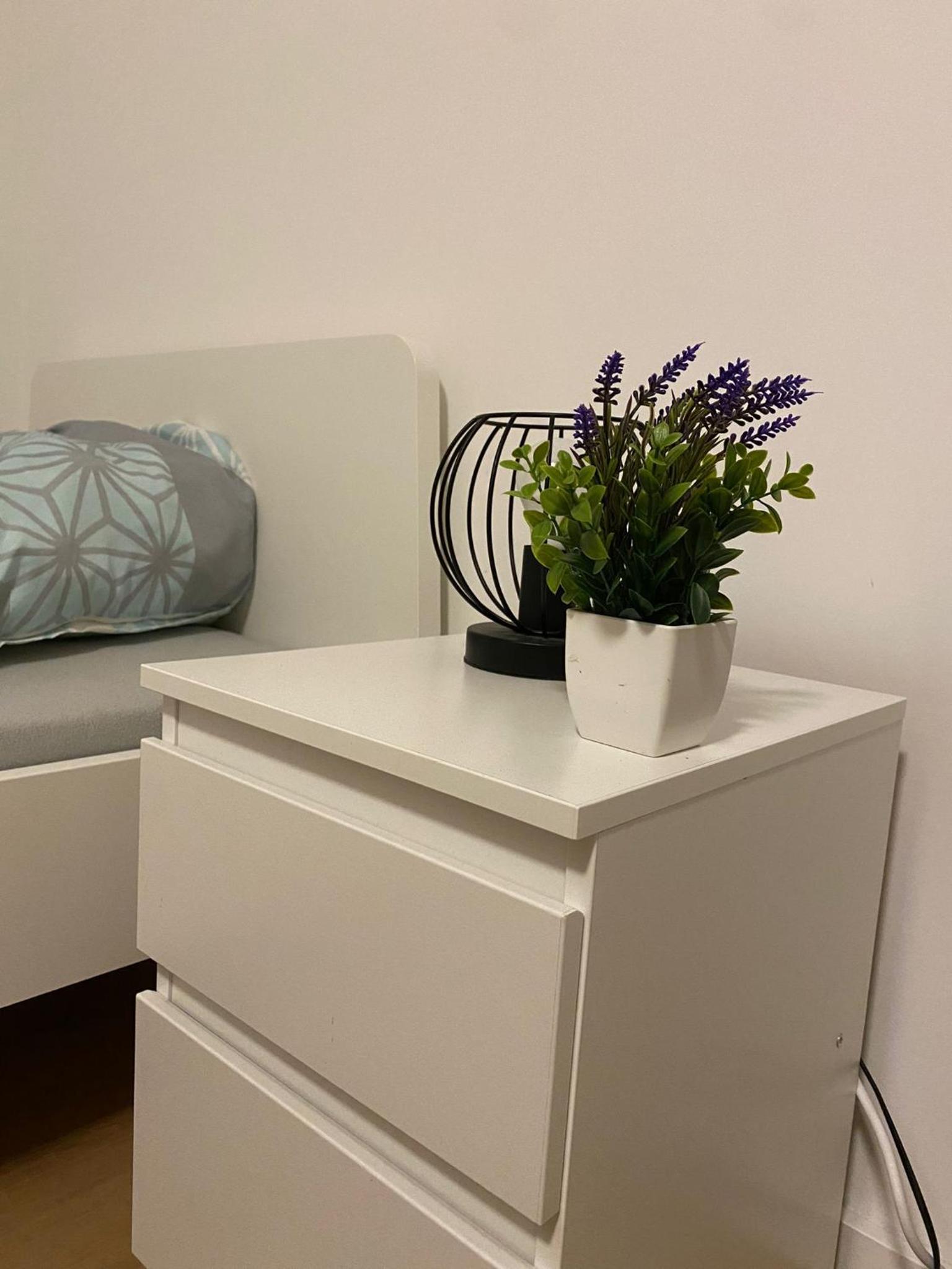 Double Or Twin Room photo 2