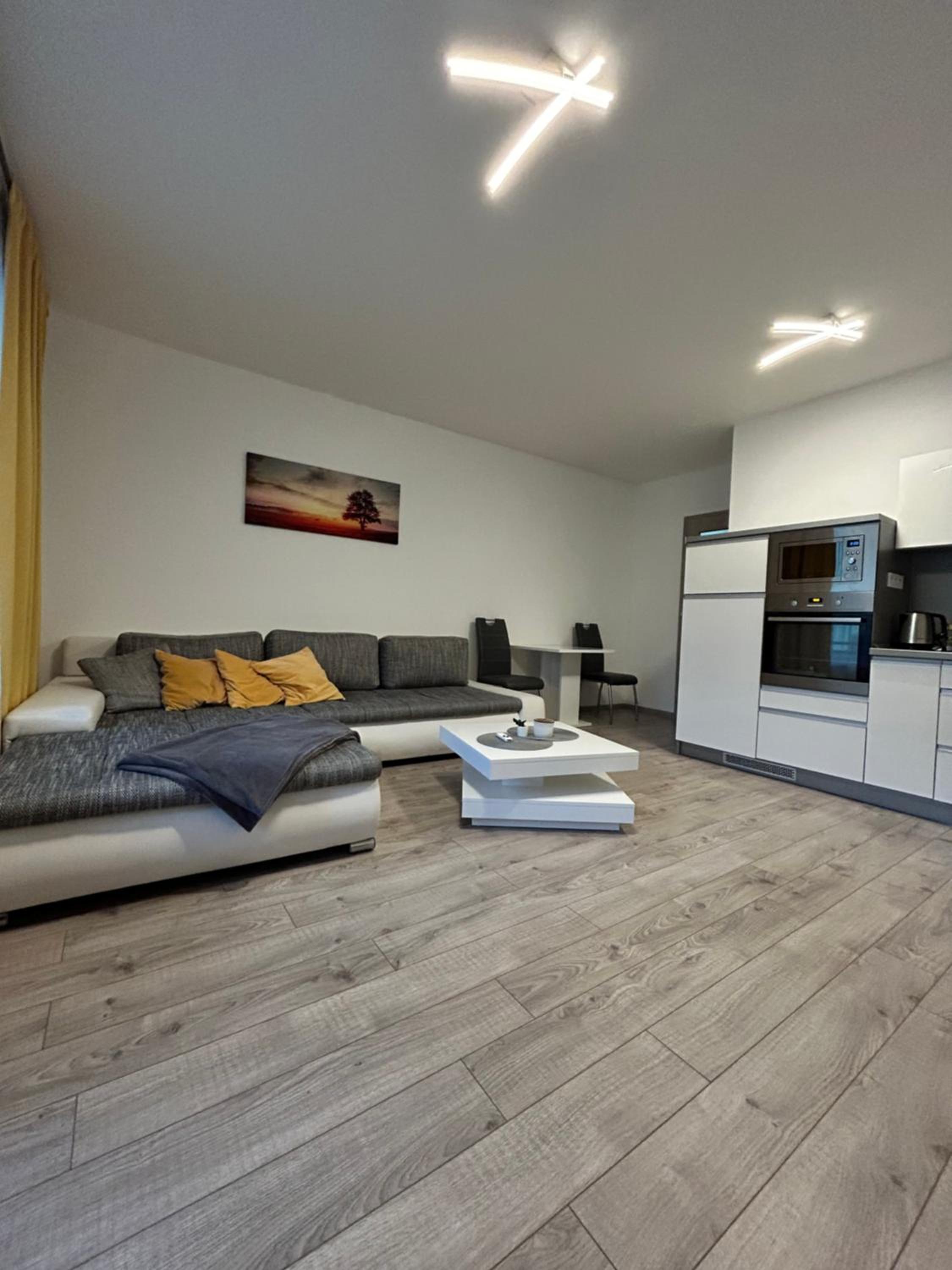 Studio Apartment photo 3