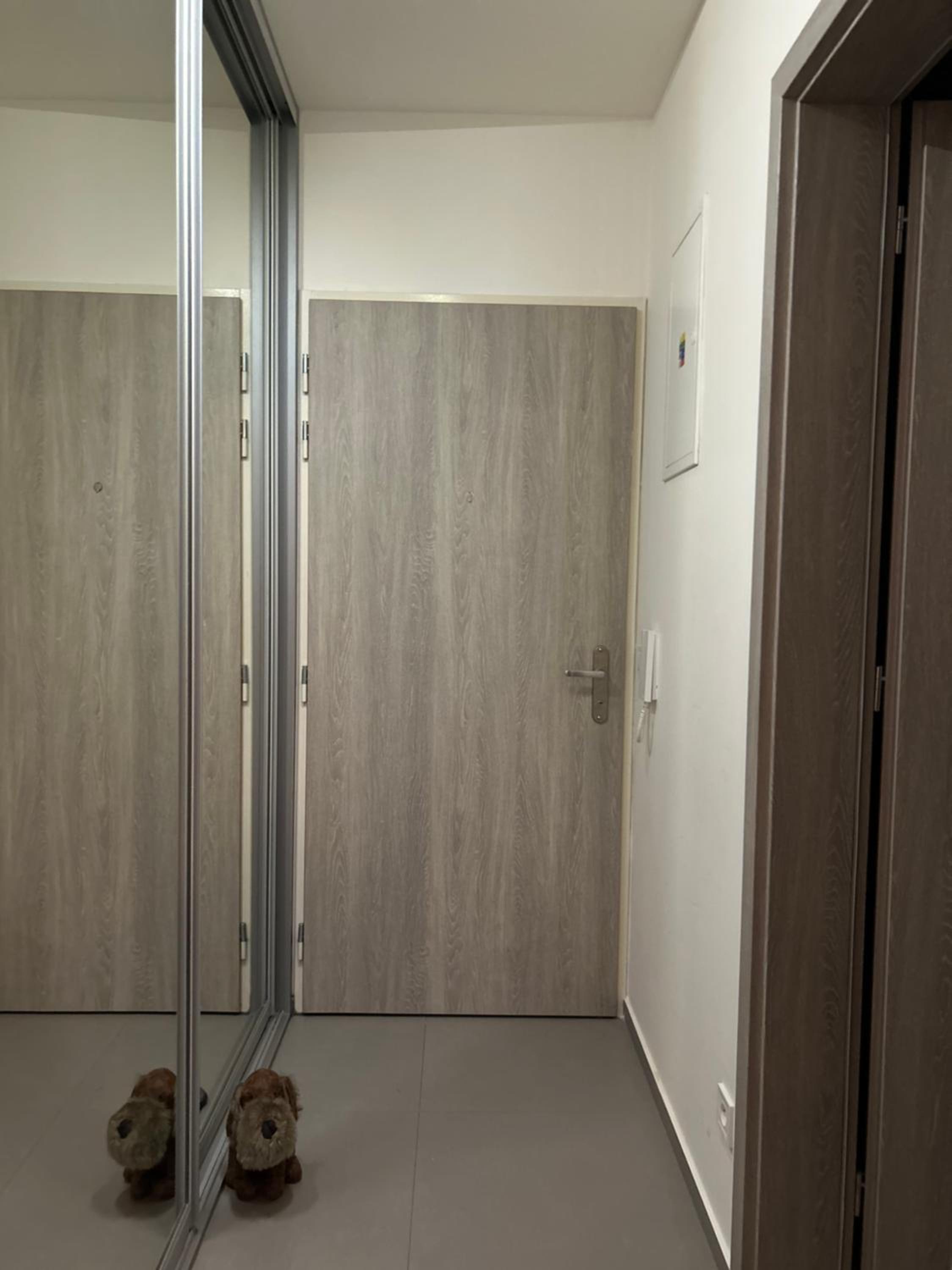 Studio Apartment photo 2