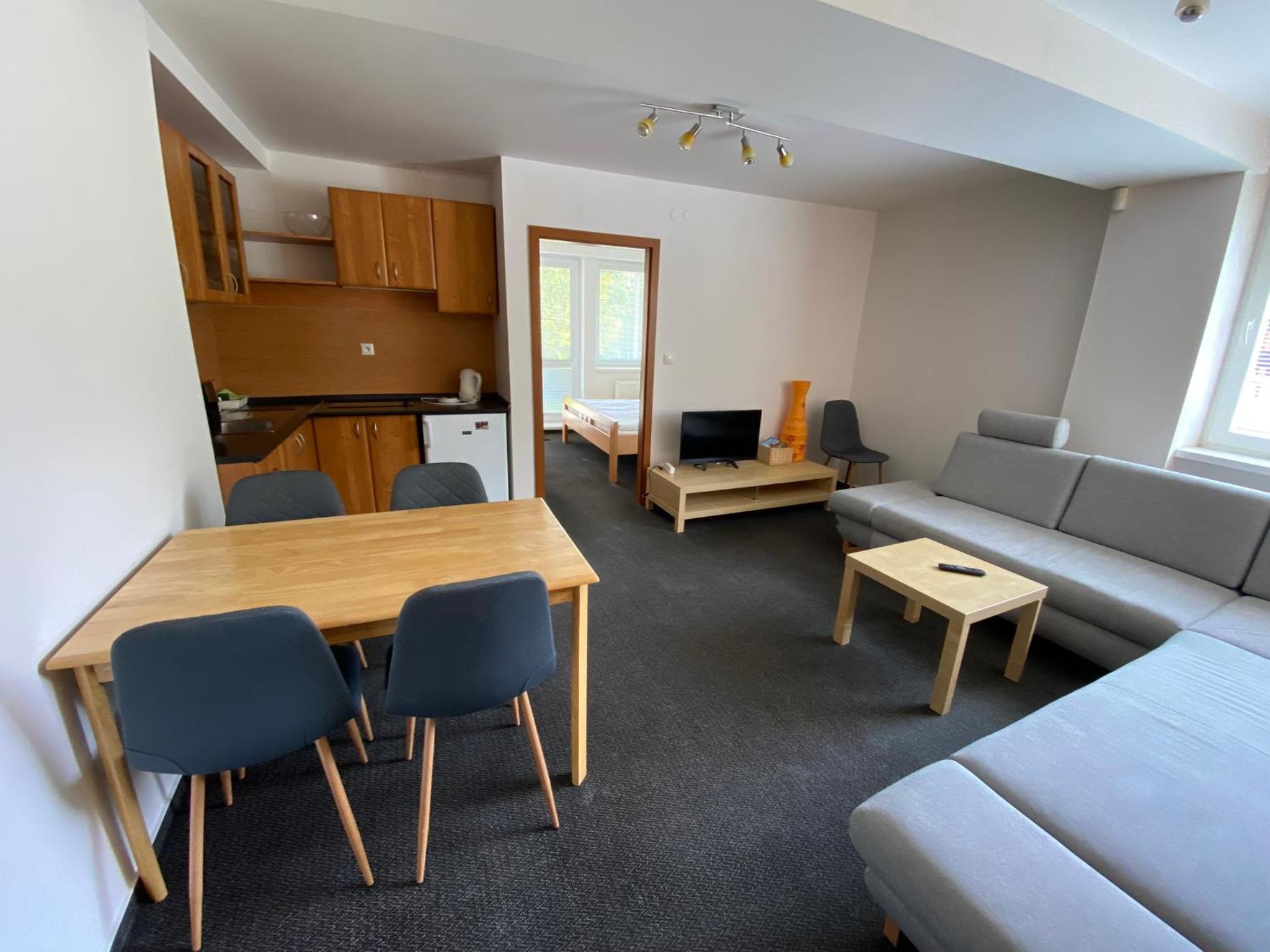 One-Bedroom Apartment photo 3