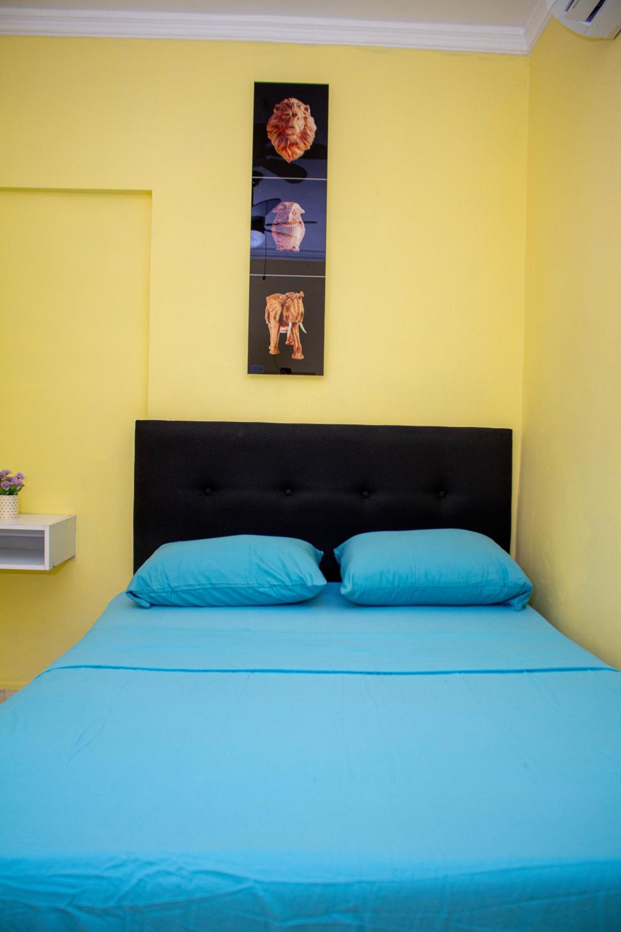Standard Twin Room photo 2