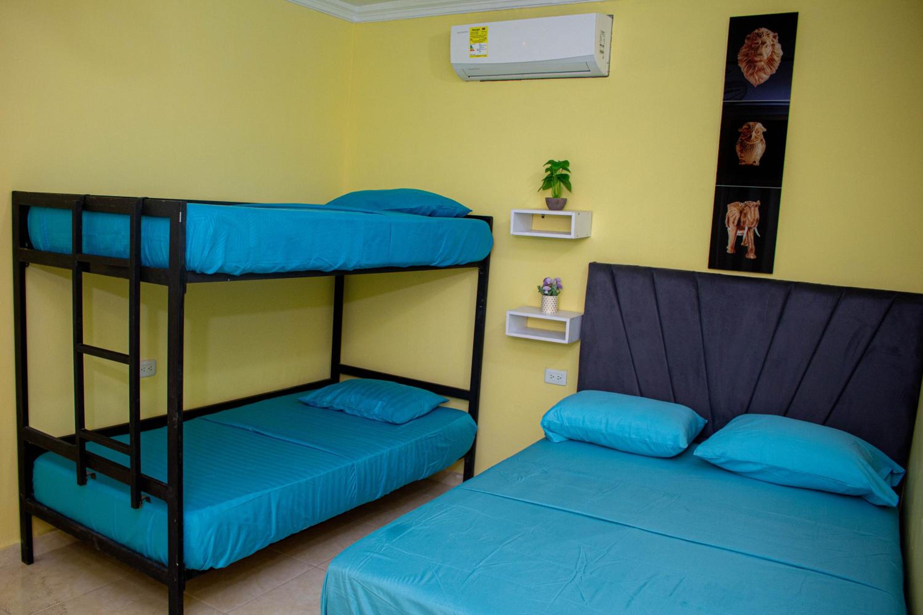 4-Bed Female Dormitory Room photo 1