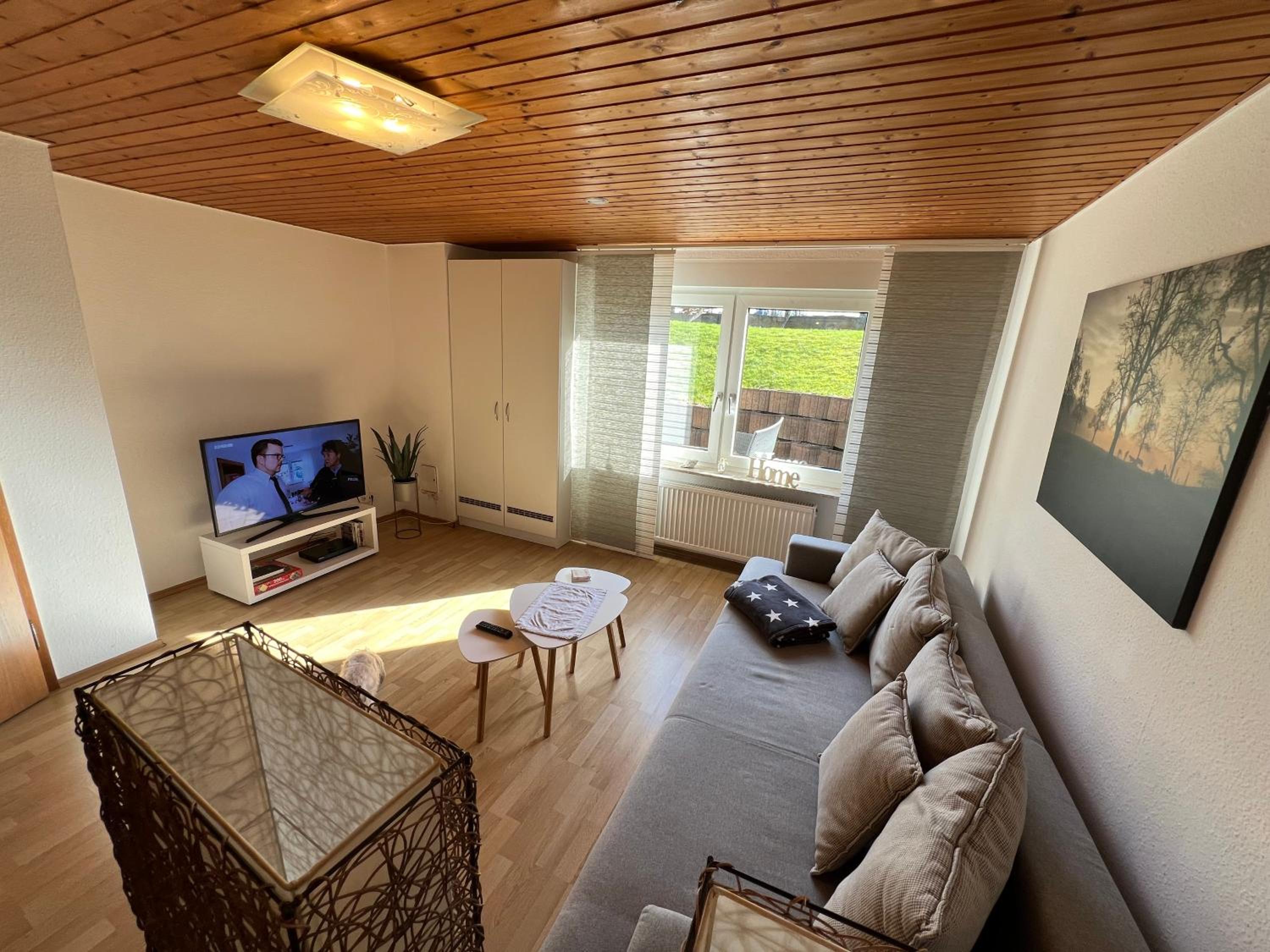 Apartment with Terrace photo 2