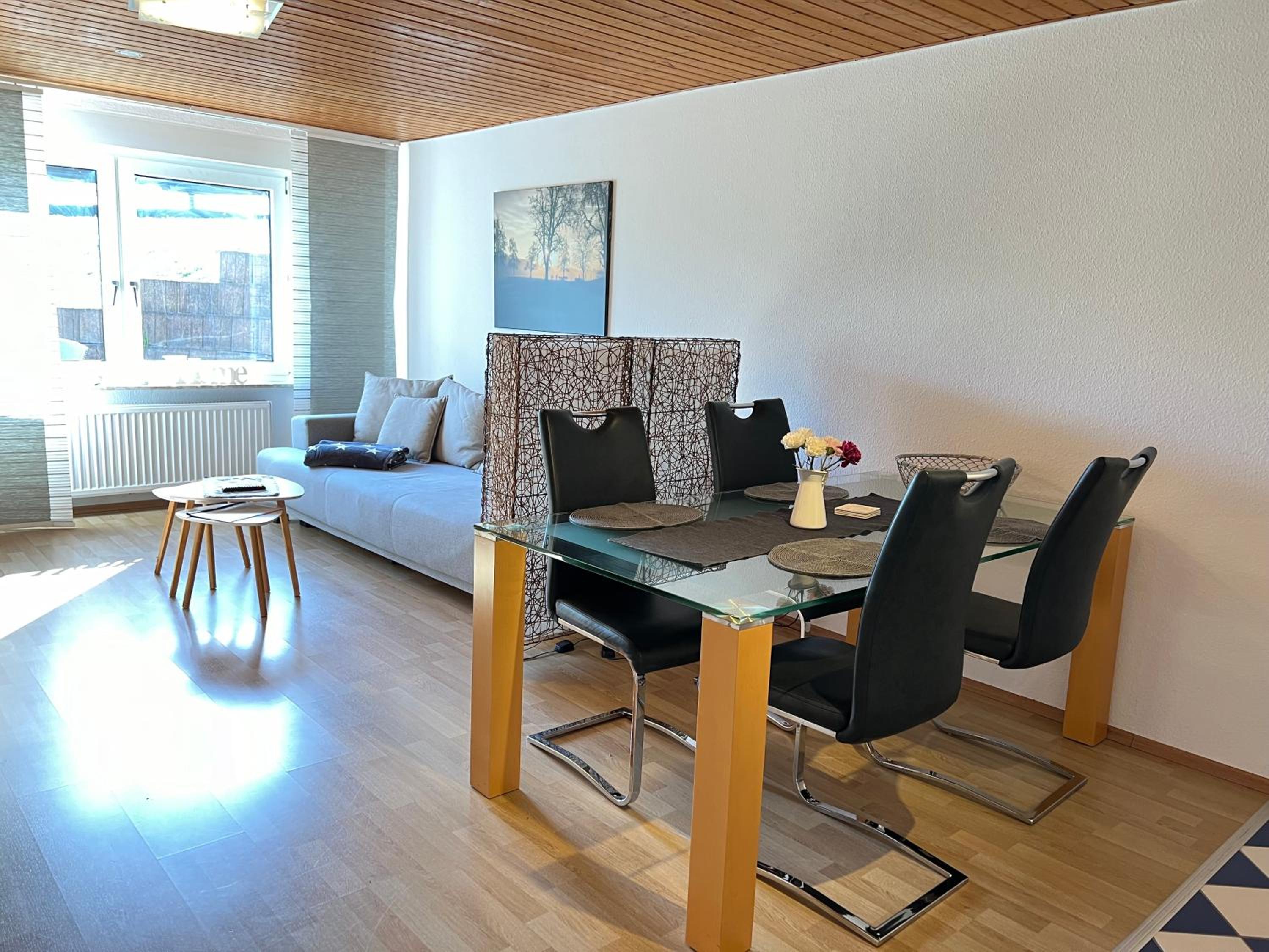 Apartment with Terrace photo 3