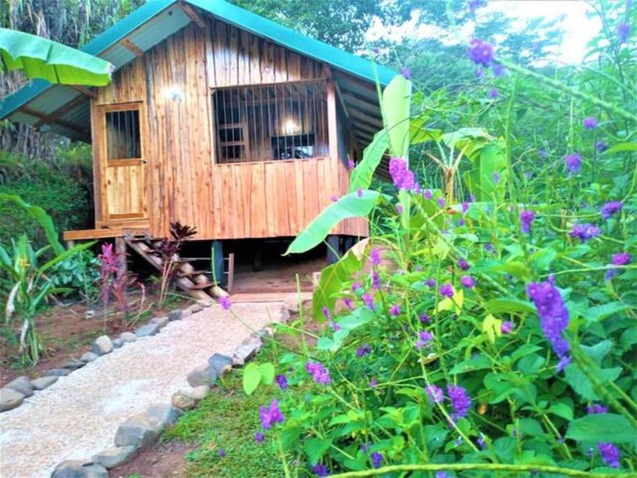 One-Bedroom House photo 2