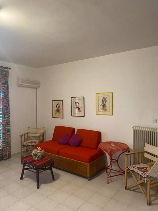 One-Bedroom Apartment photo 3