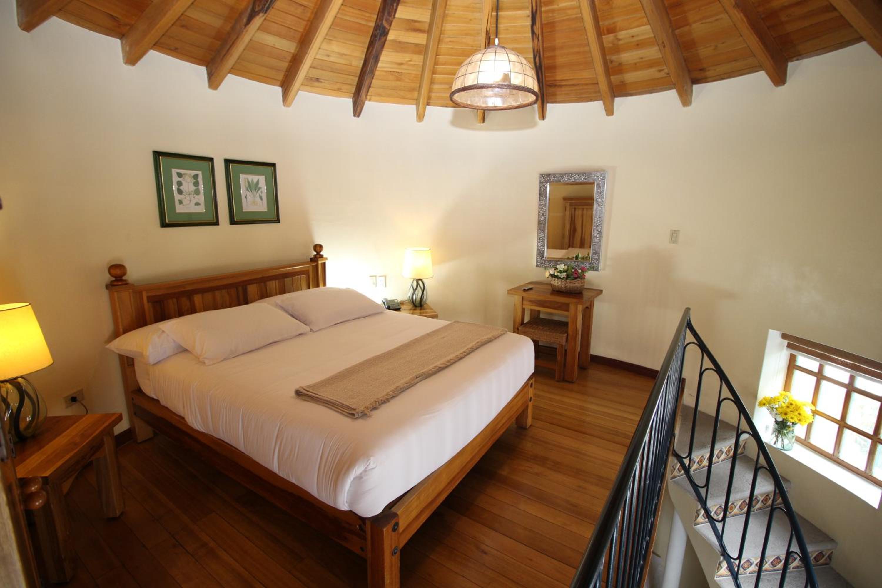Suite - Photo 2
