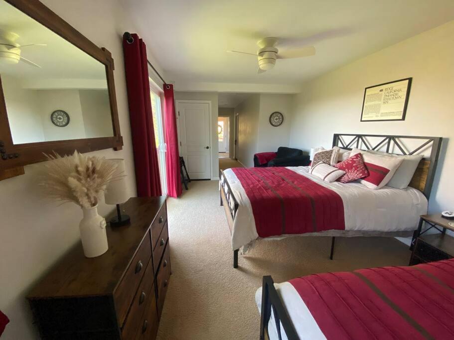 One-Bedroom House photo 1
