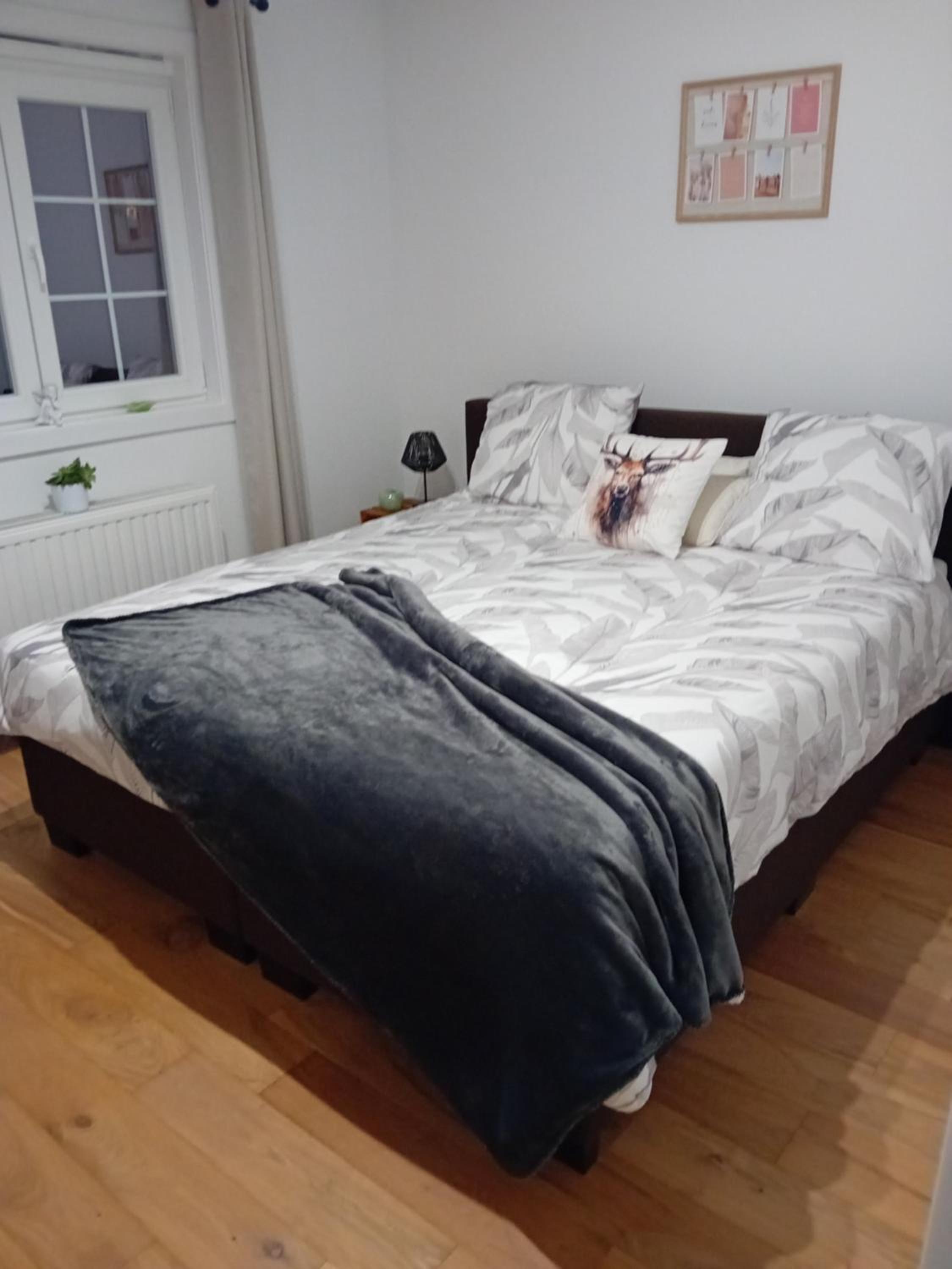 Double Room photo 1