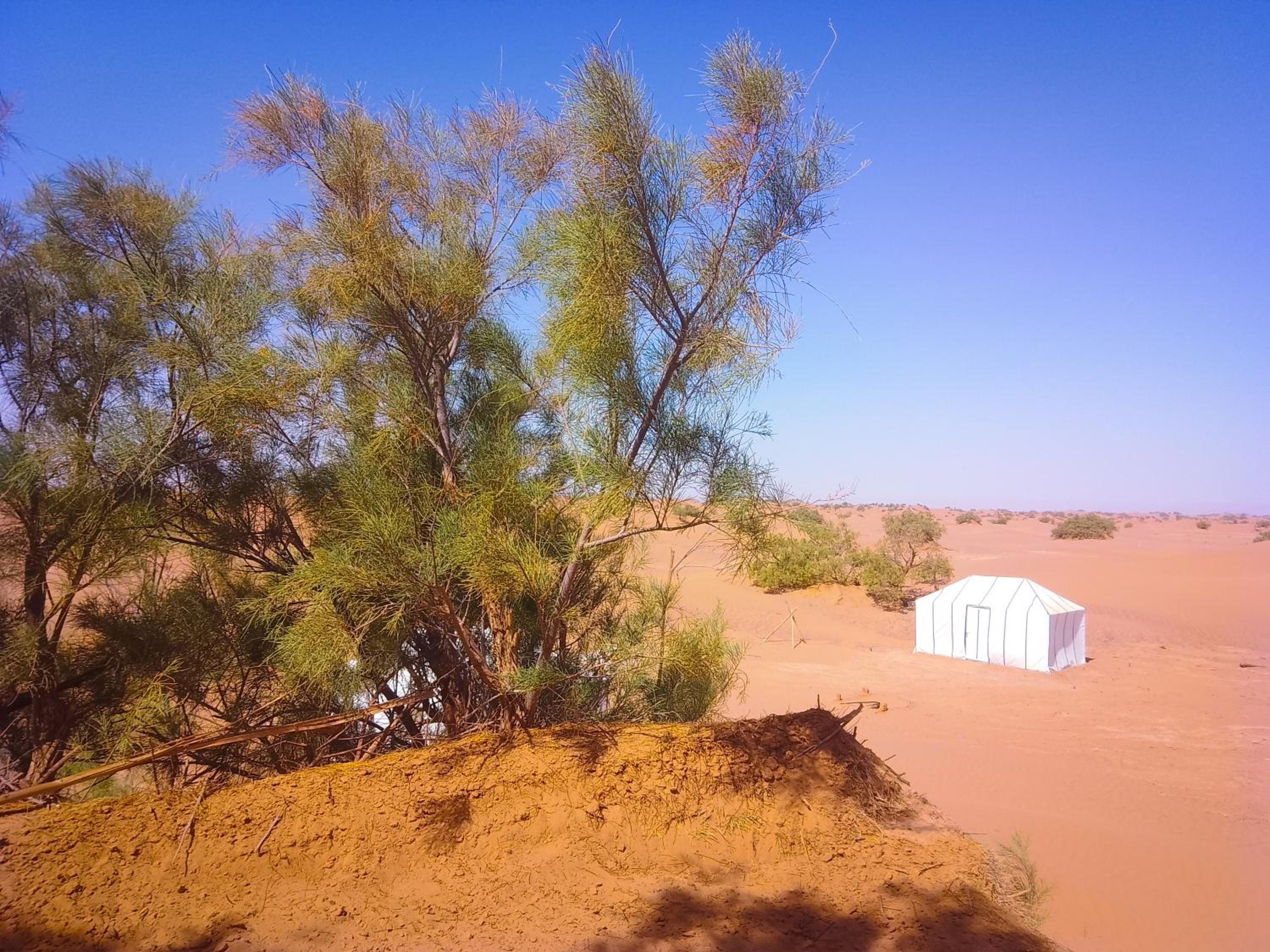 Tent - Photo 13