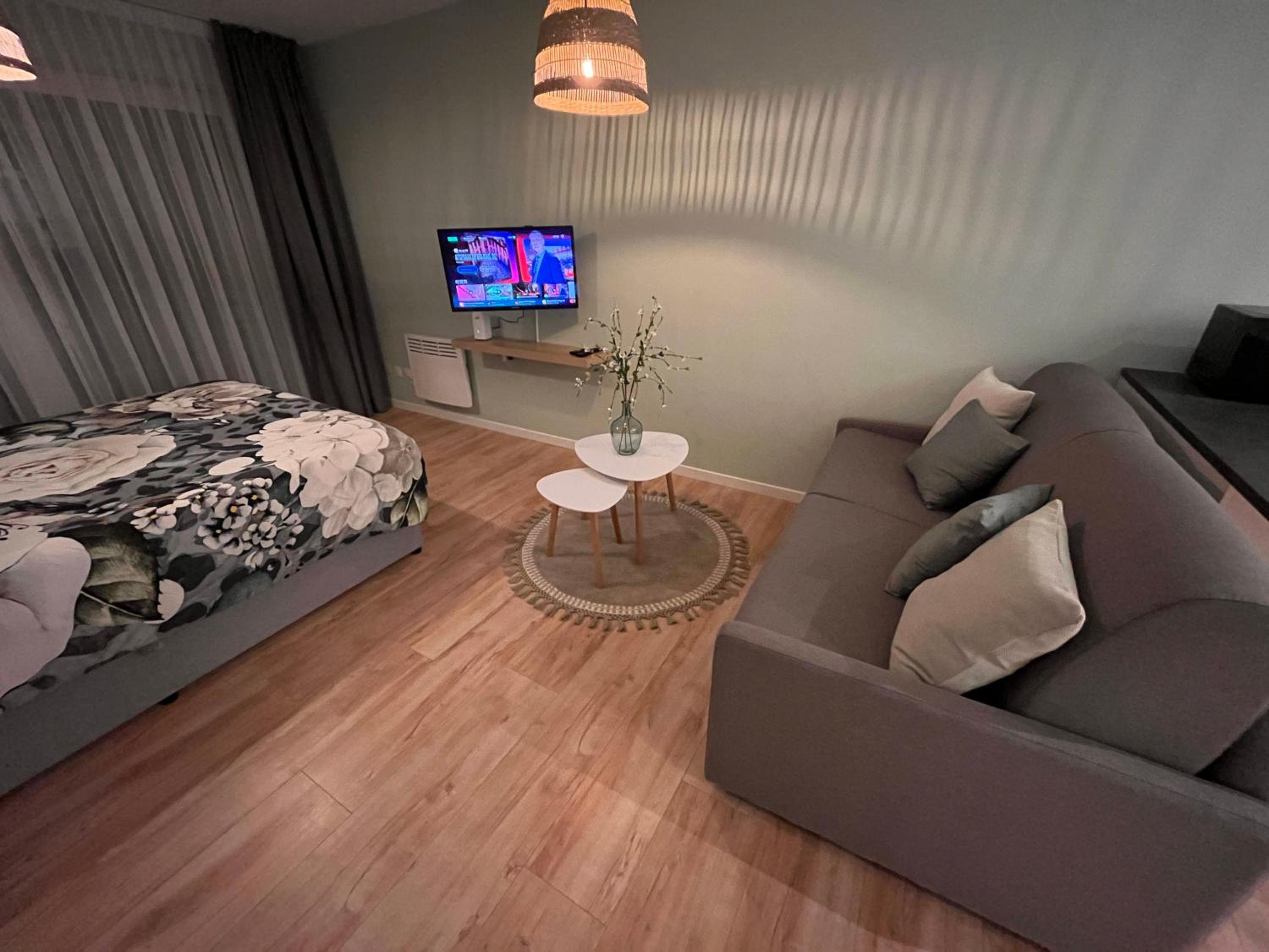 King Studio with Sofa Bed photo 3