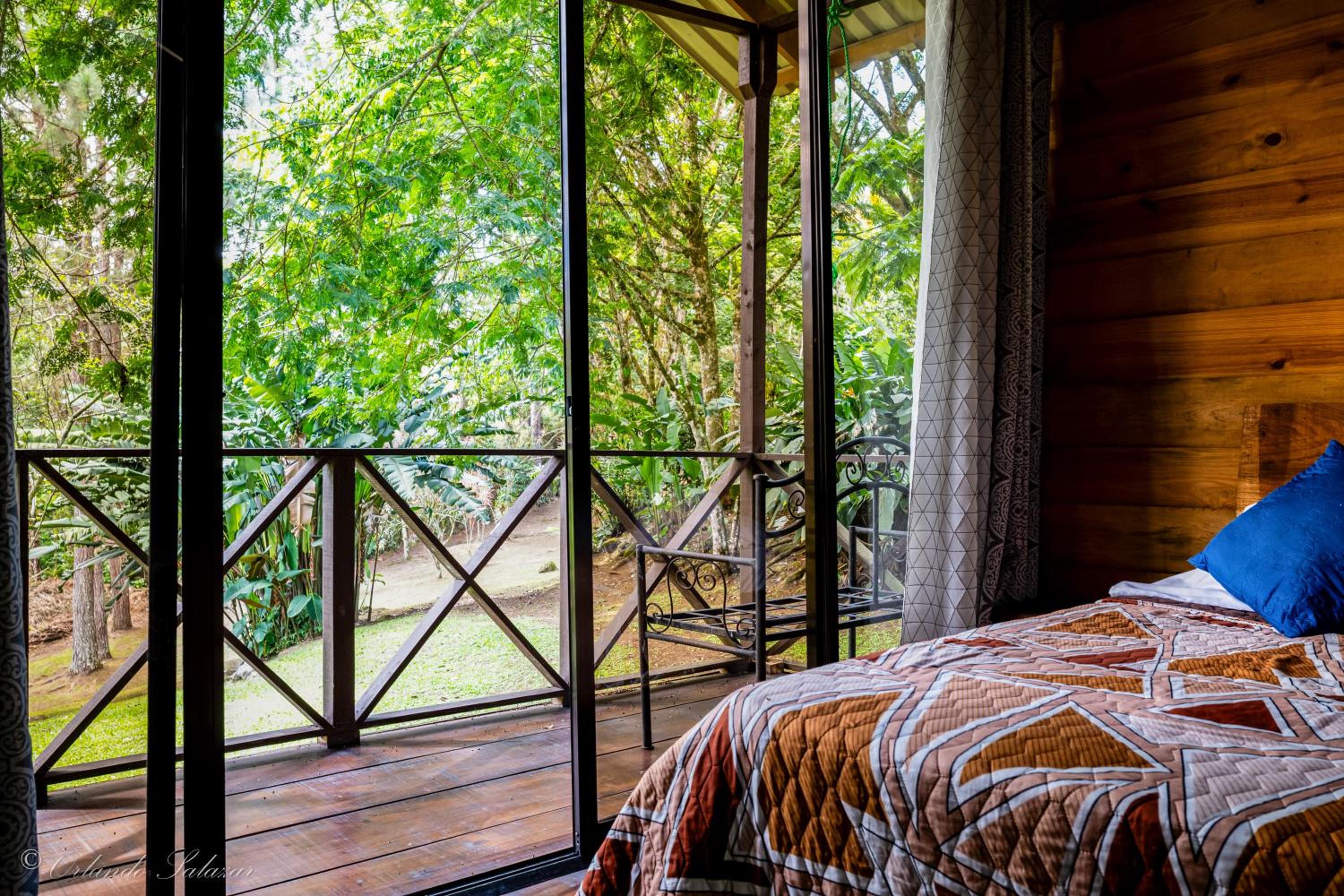 Bungalow with Garden View photo 2