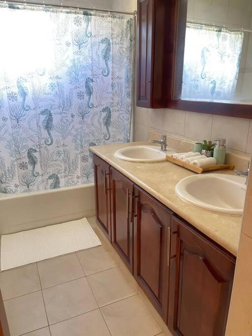 One-Bedroom House photo 3