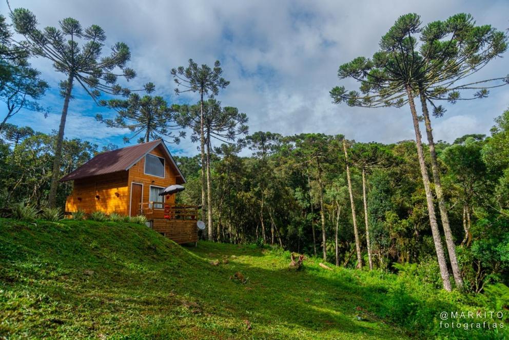 Chalet photo 2