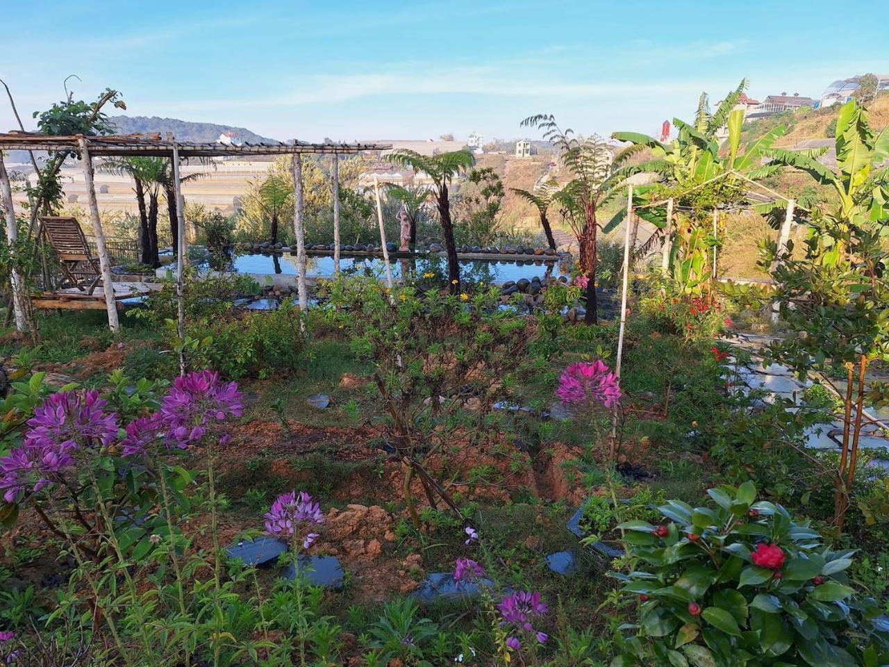 Double Room with Garden View photo 3