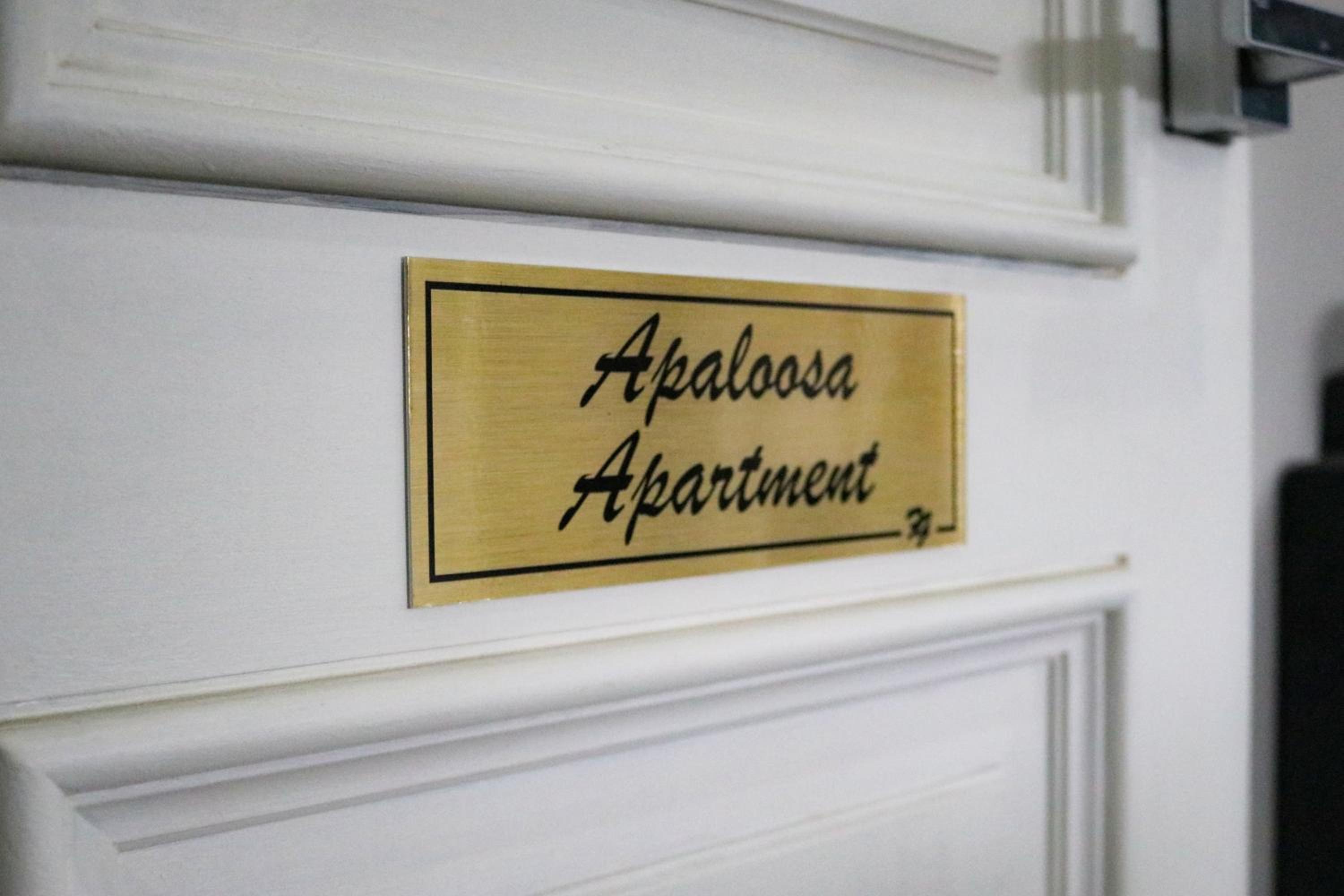 Apartment - Photo 17