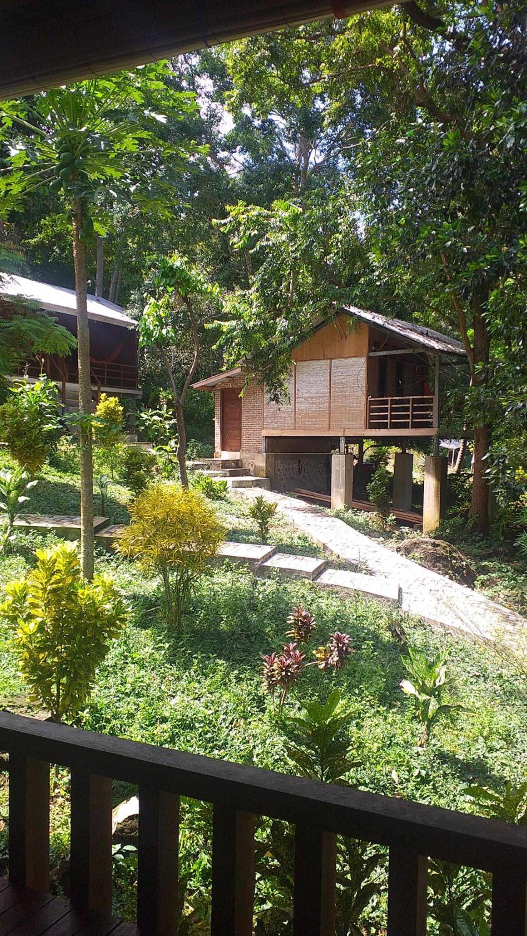 Double Room with Garden View photo 2