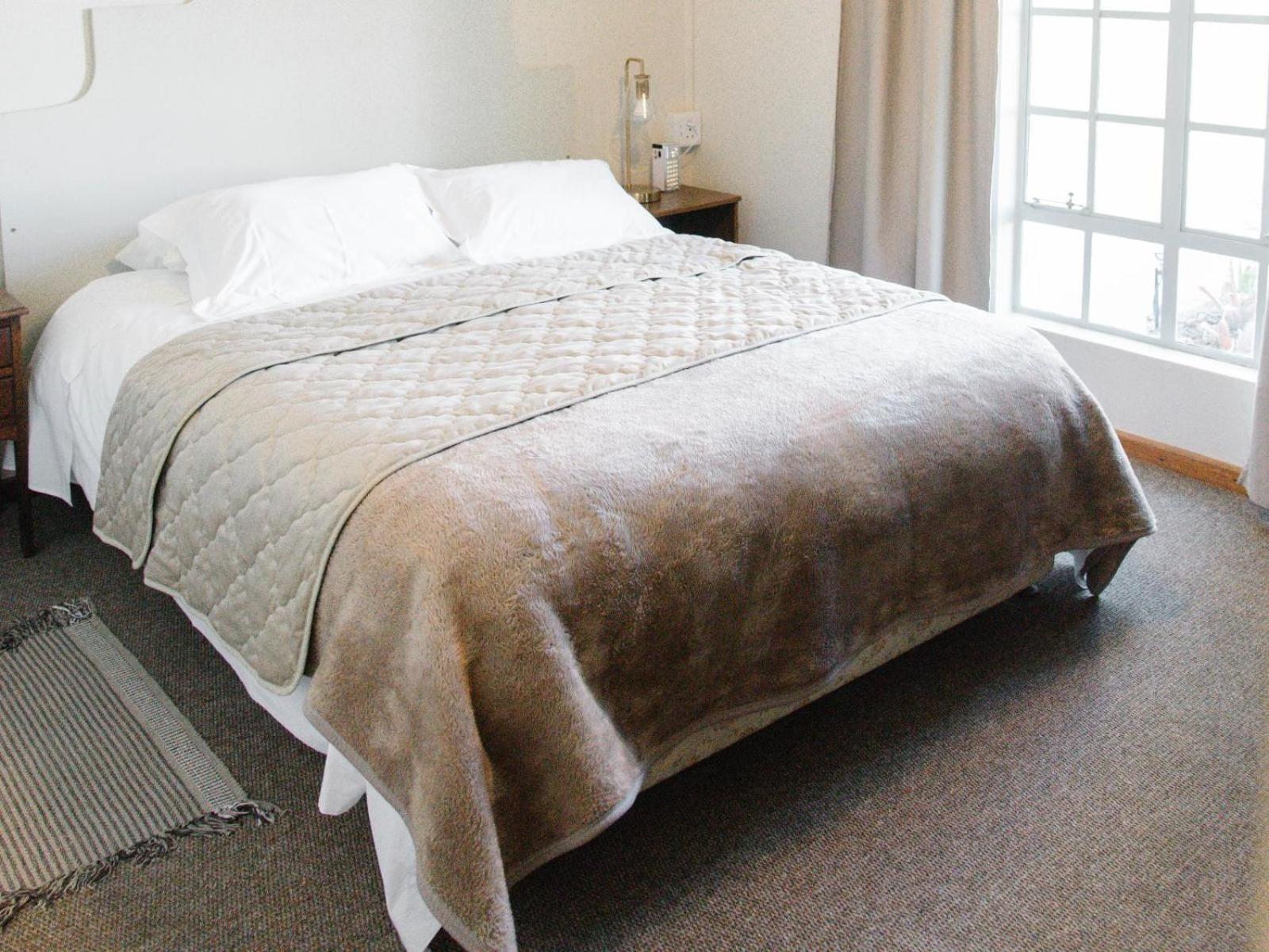 Comfort Queen Room photo 1