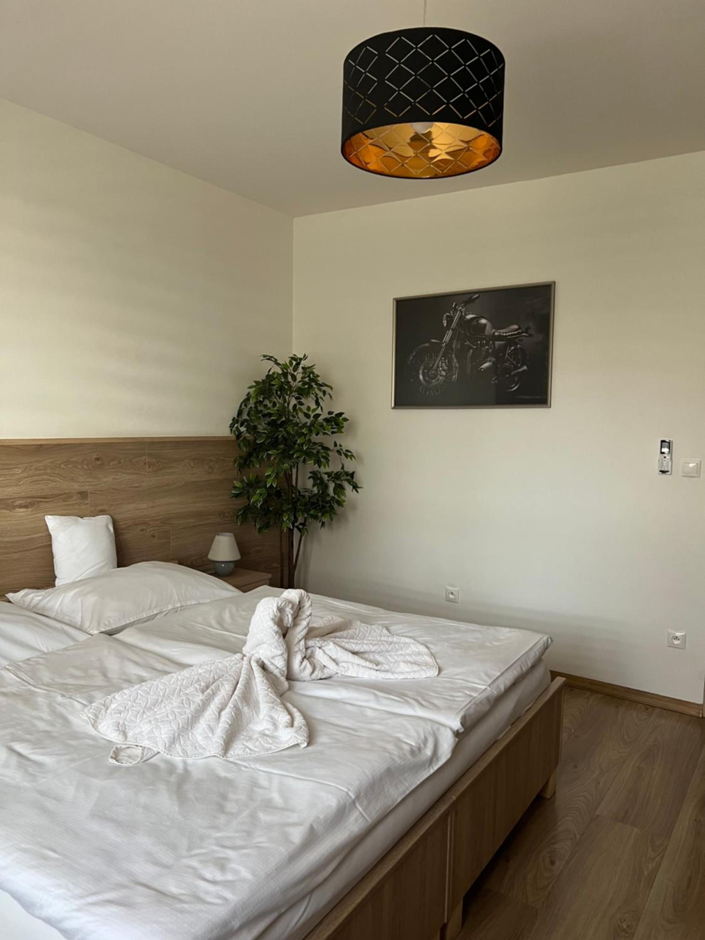 Large Double Room - Photo 3