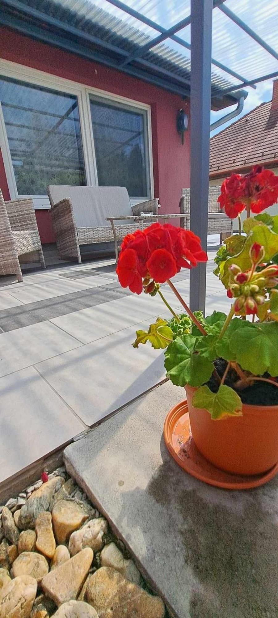 Apartment with Terrace - Red photo 2