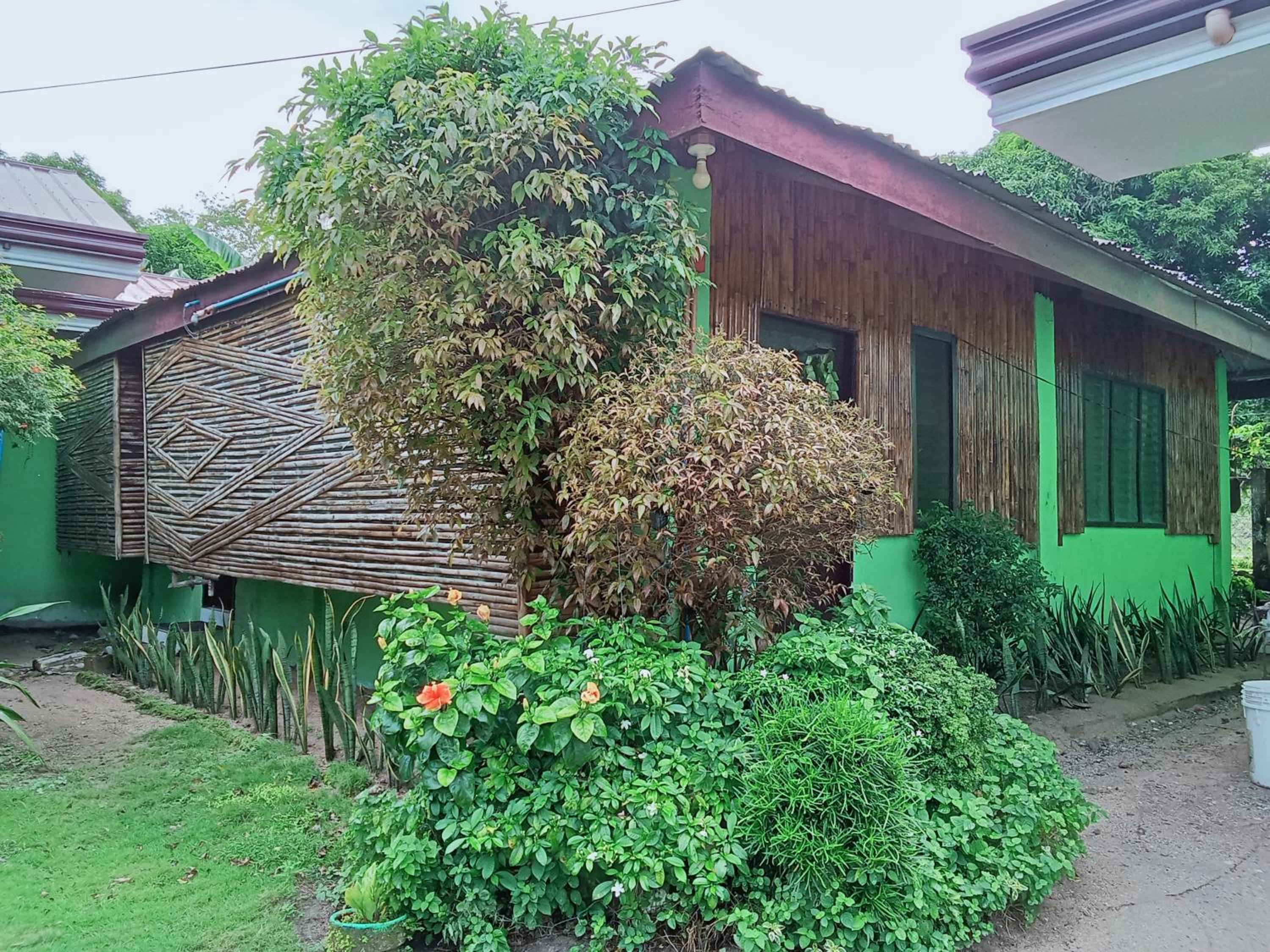 Bungalow photo 2