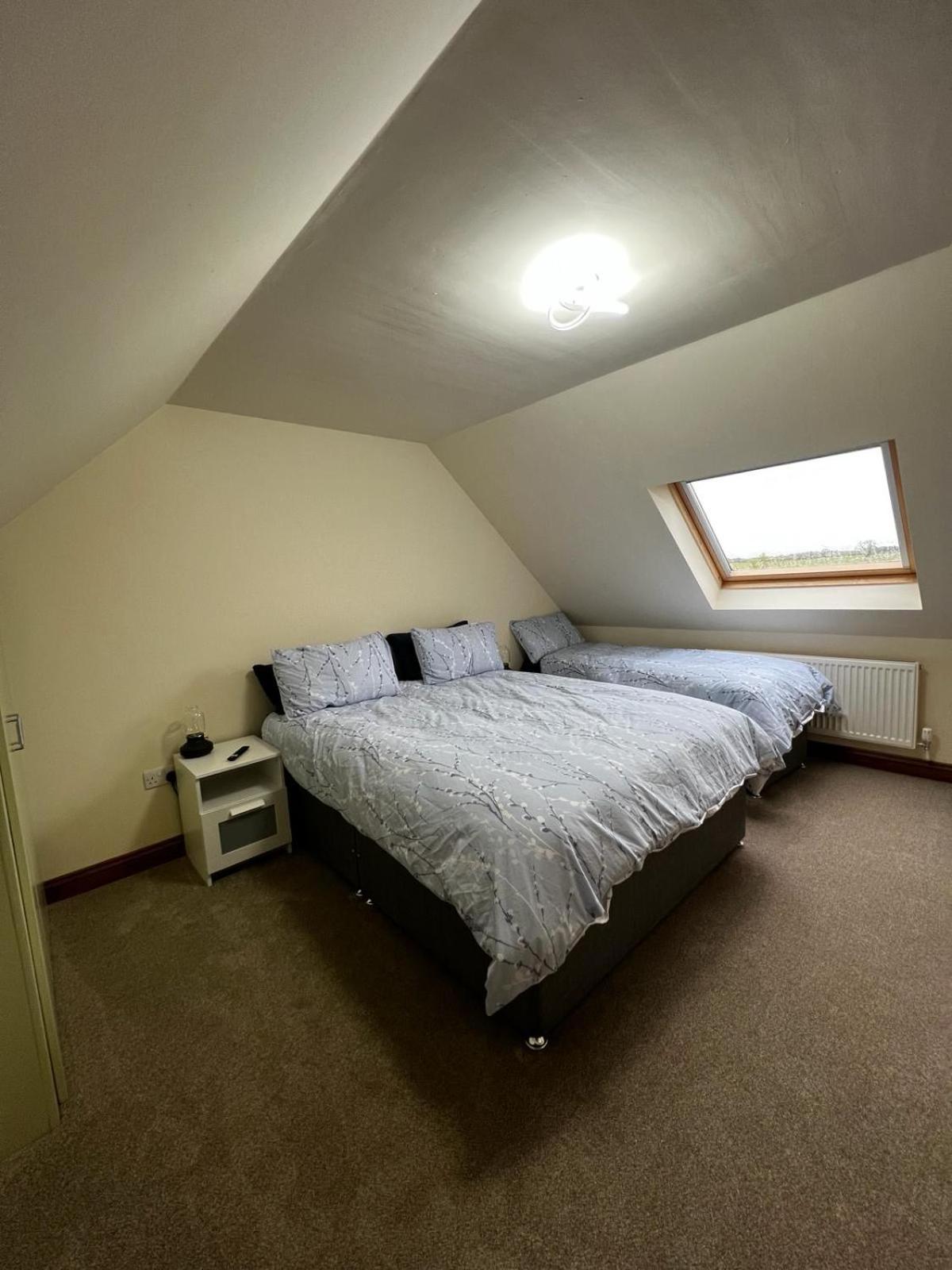 Basic Triple Room With Shared Bathroom photo 1