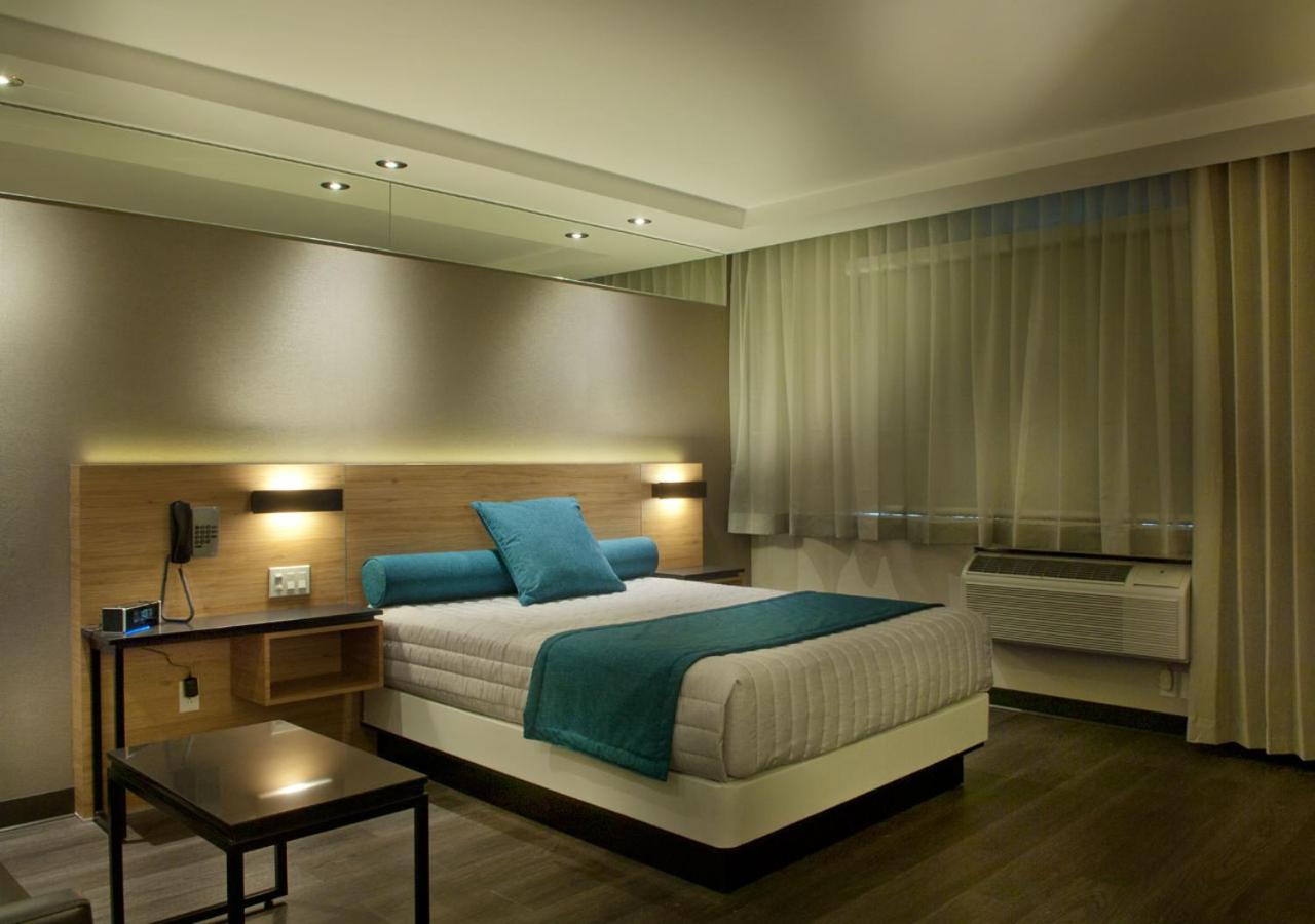 Superior Quadruple Room photo 3