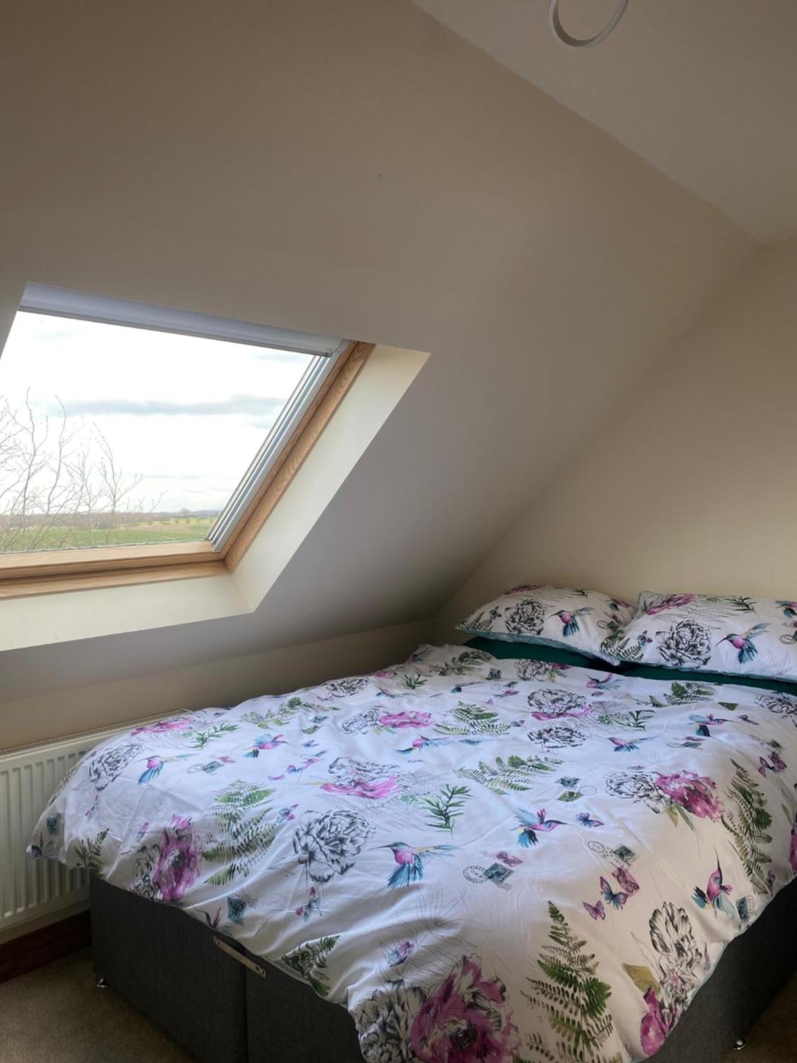 Double Or Twin Room photo 1