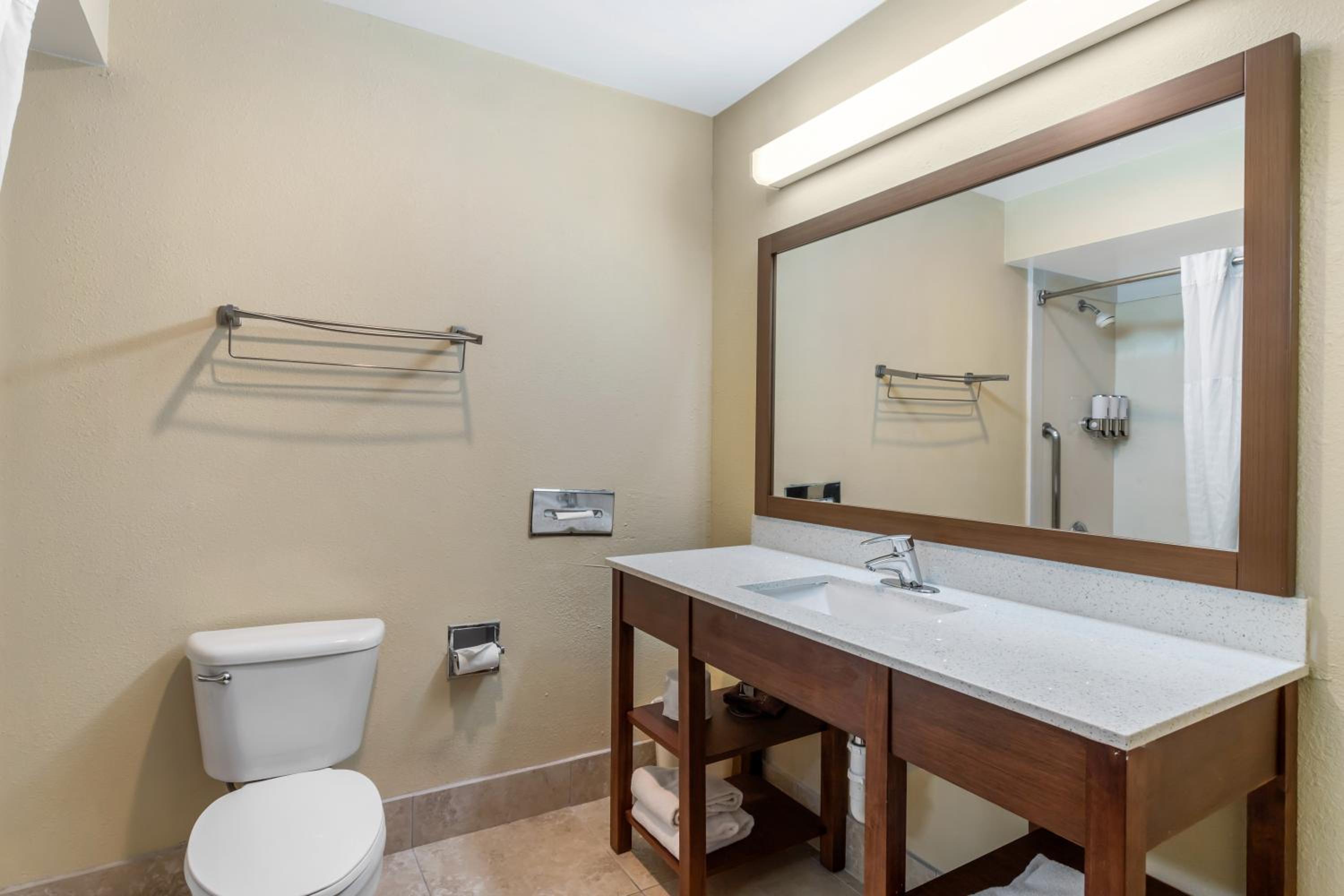 King Suite - Photo 7
