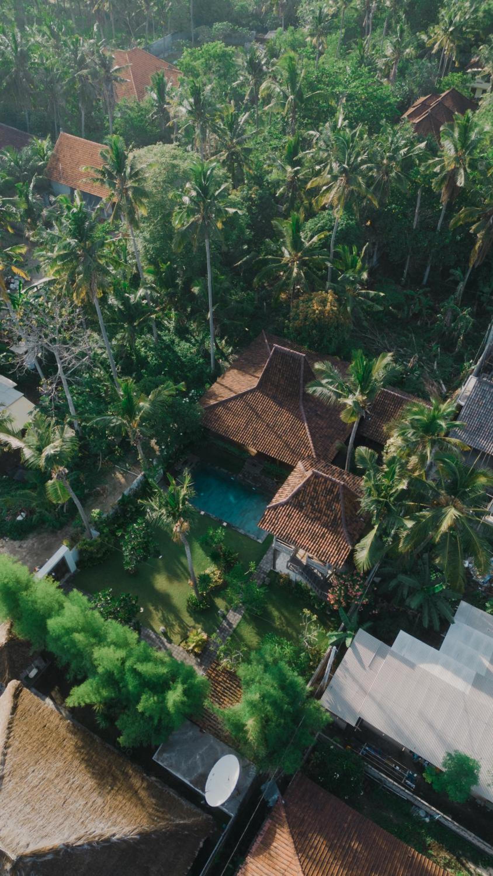 Three-Bedroom Villa photo 2