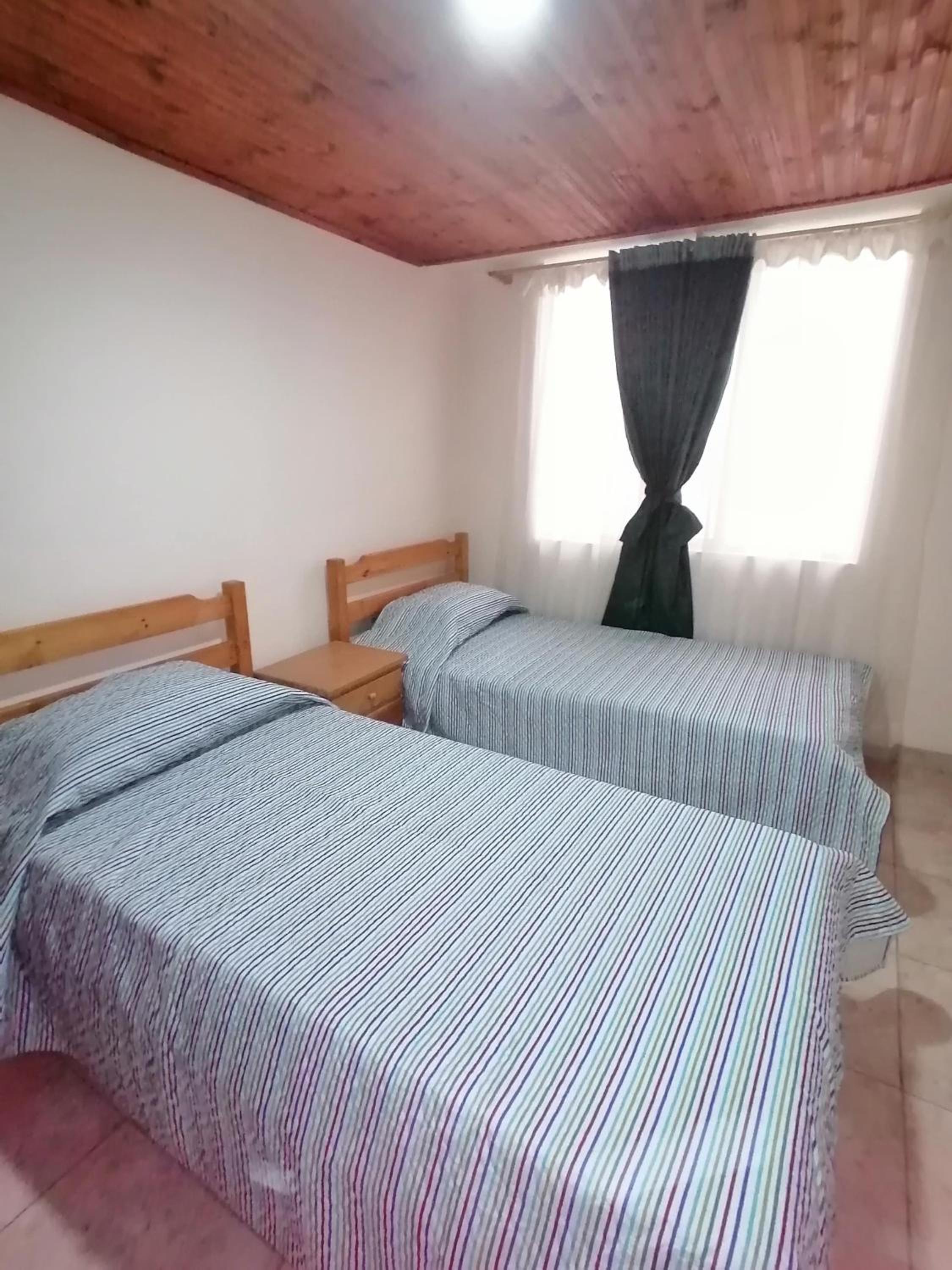 Twin Room photo 1