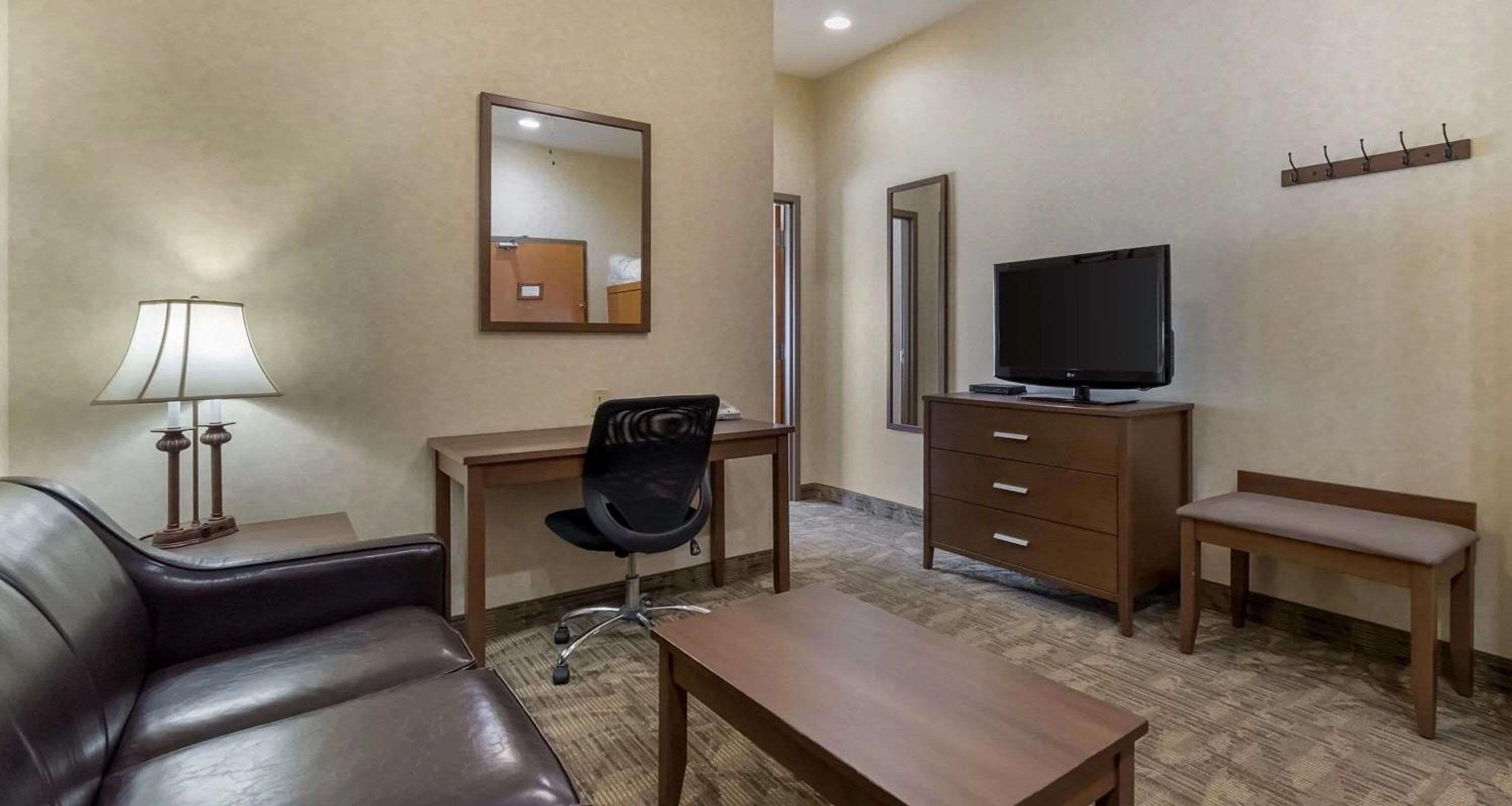 Queen Suite with Sofa Bed and Wet Bar - Non-Smoking photo 3