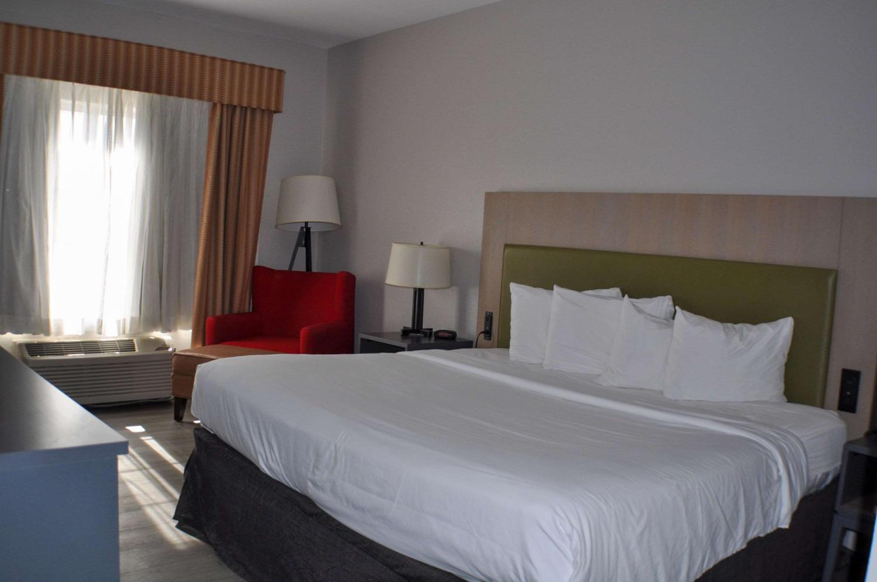 King Room - Non-Smoking - Photo 4