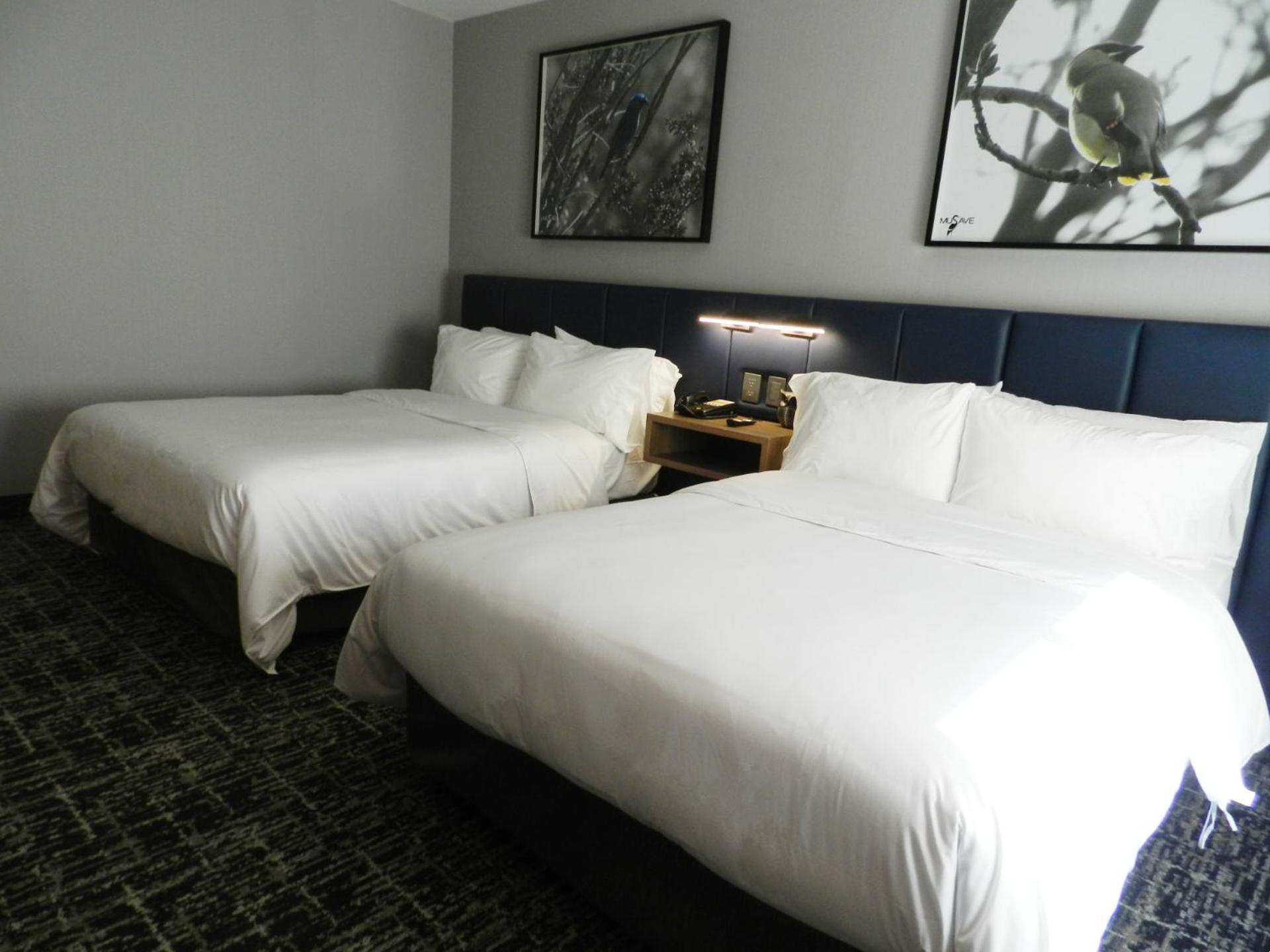 Two-Bedroom Suite - Photo 7