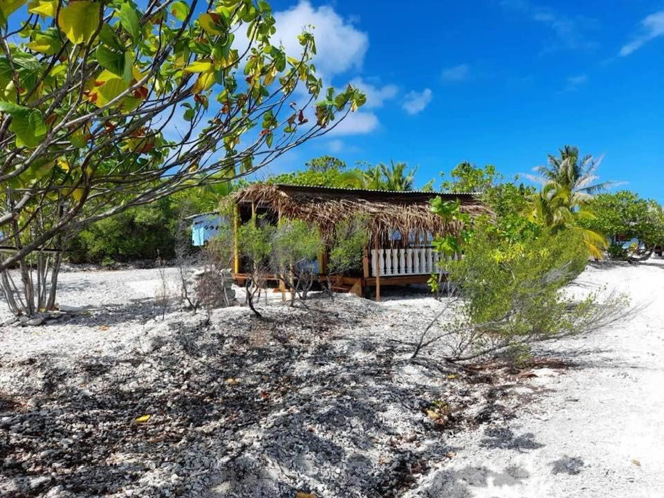 Bungalow - Water Front photo 3