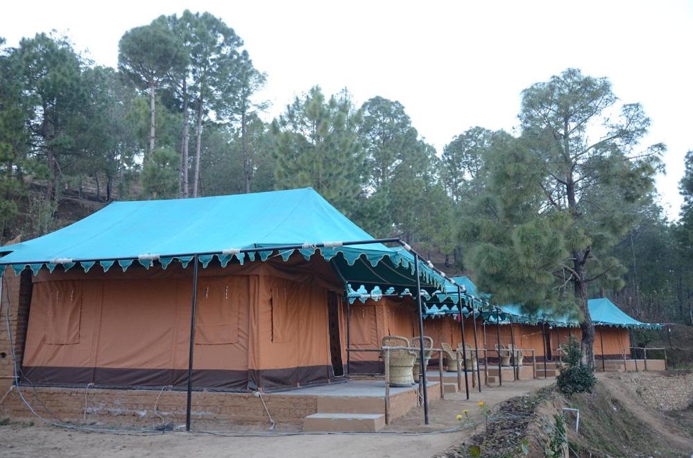 Tent photo 2