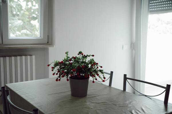 One-Bedroom Apartment (2 Adults) - Fucsia - Photo 3