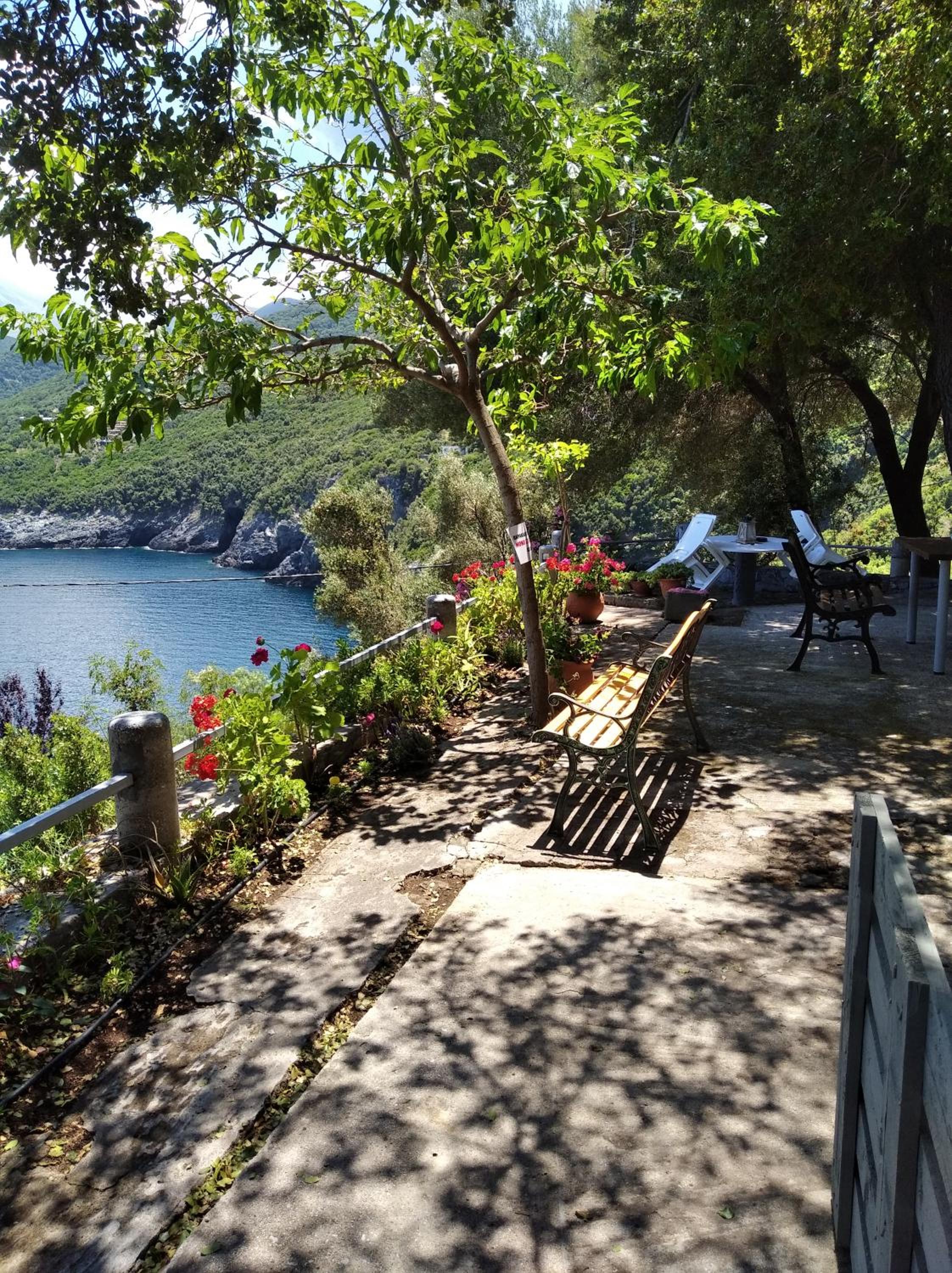 Apartment with Sea View photo 3
