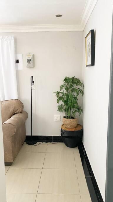 Two-Bedroom Apartment photo 2