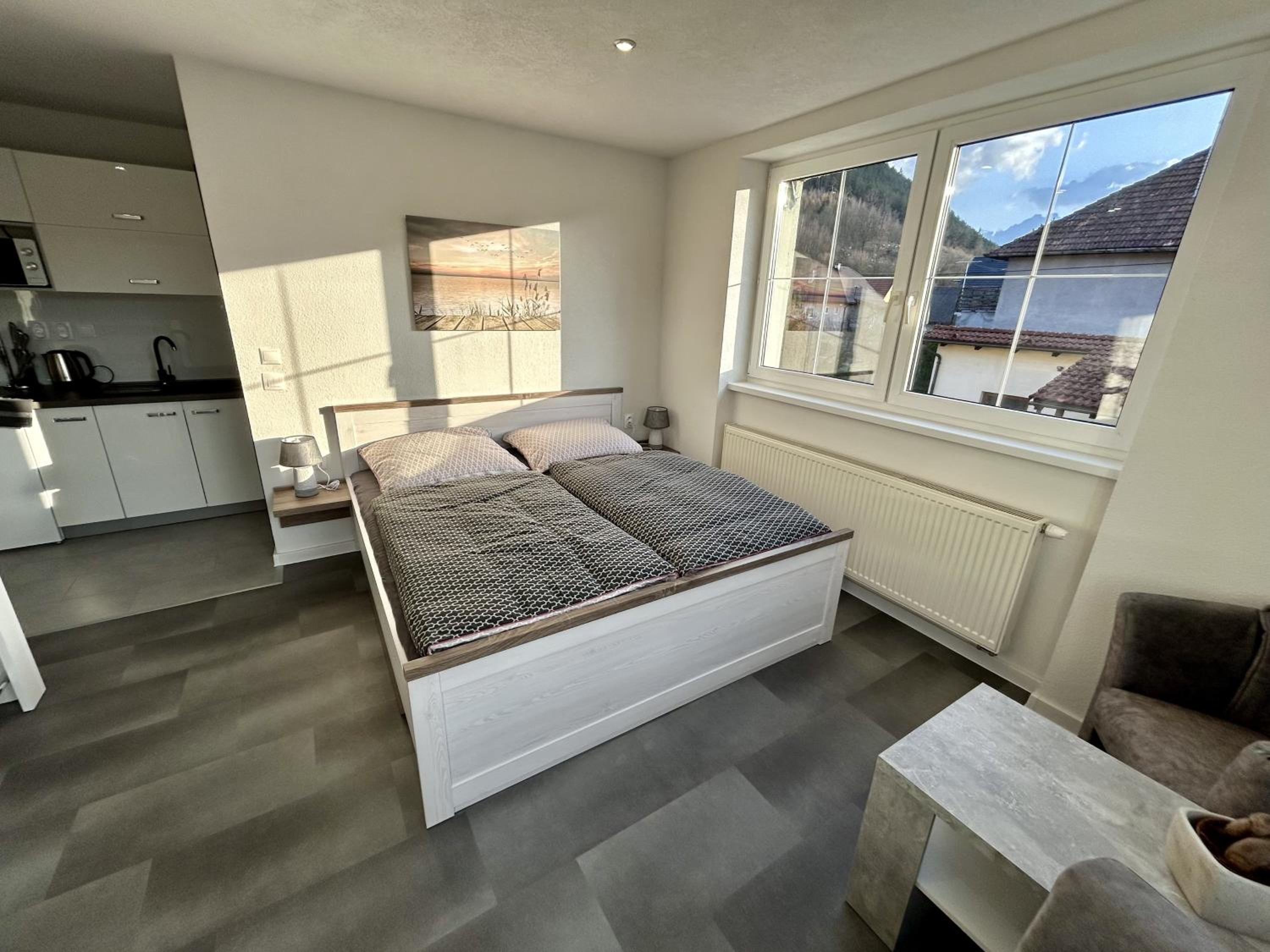 Apartment with Mountain View photo 1