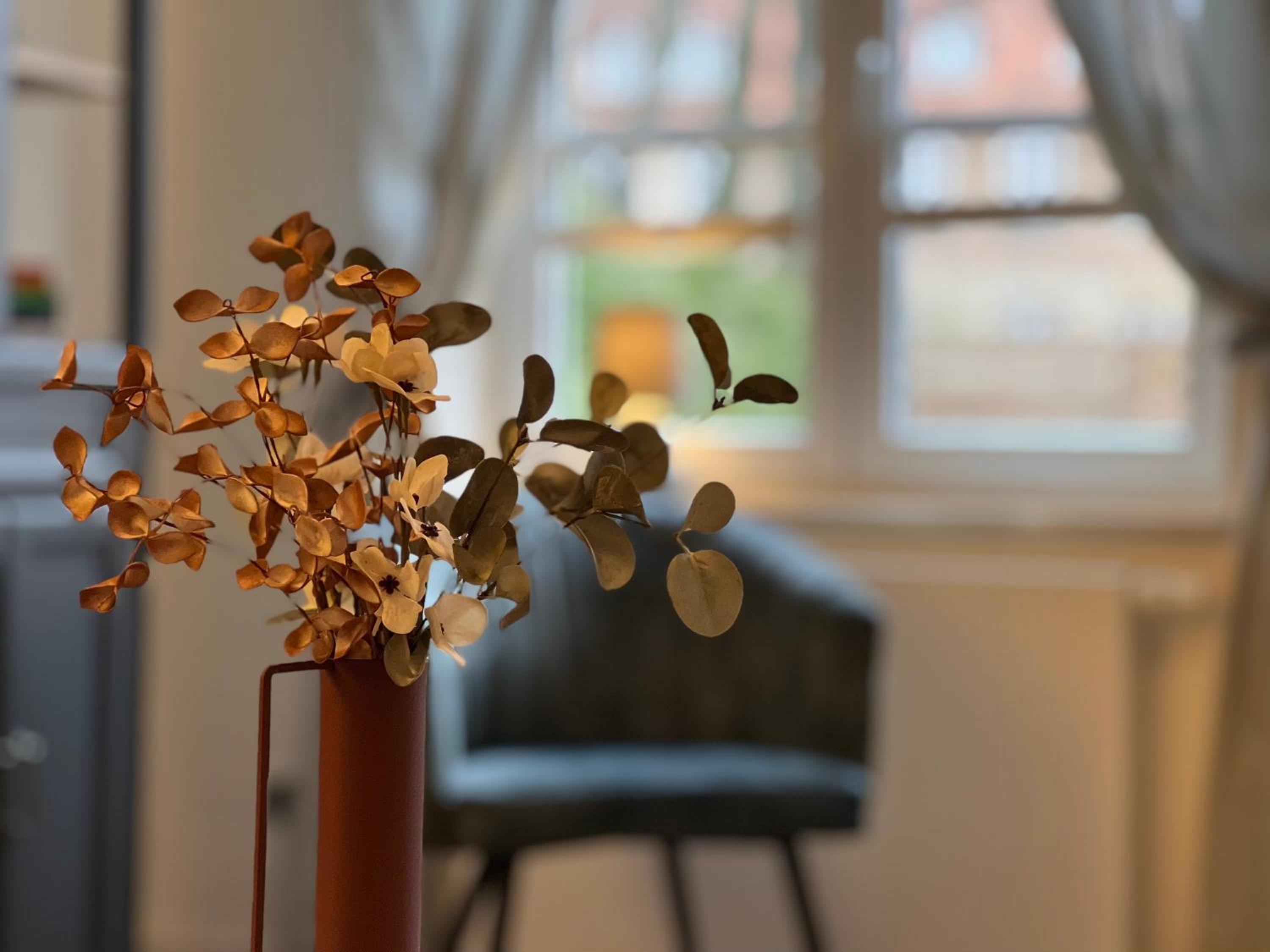 Apartment with Terrace photo 2