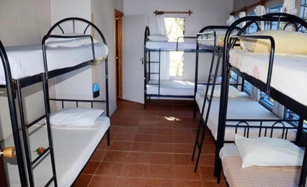 6-Bed Mixed Dormitory Room