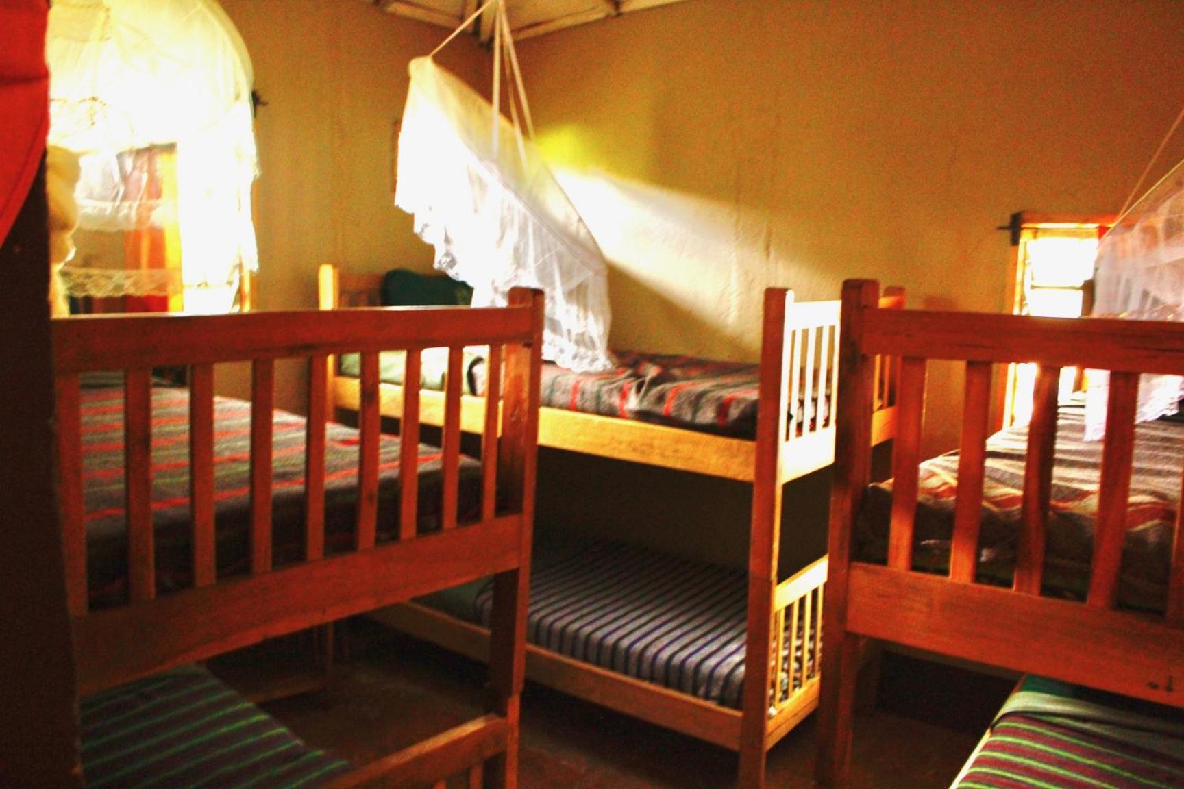 Bunk Bed in Mixed Dormitory Room photo 1