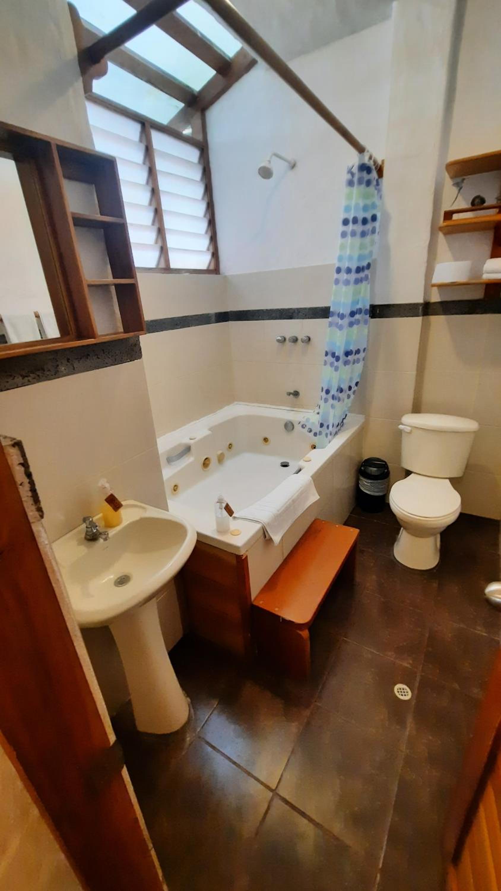Deluxe Suite with Spa Bath photo 3