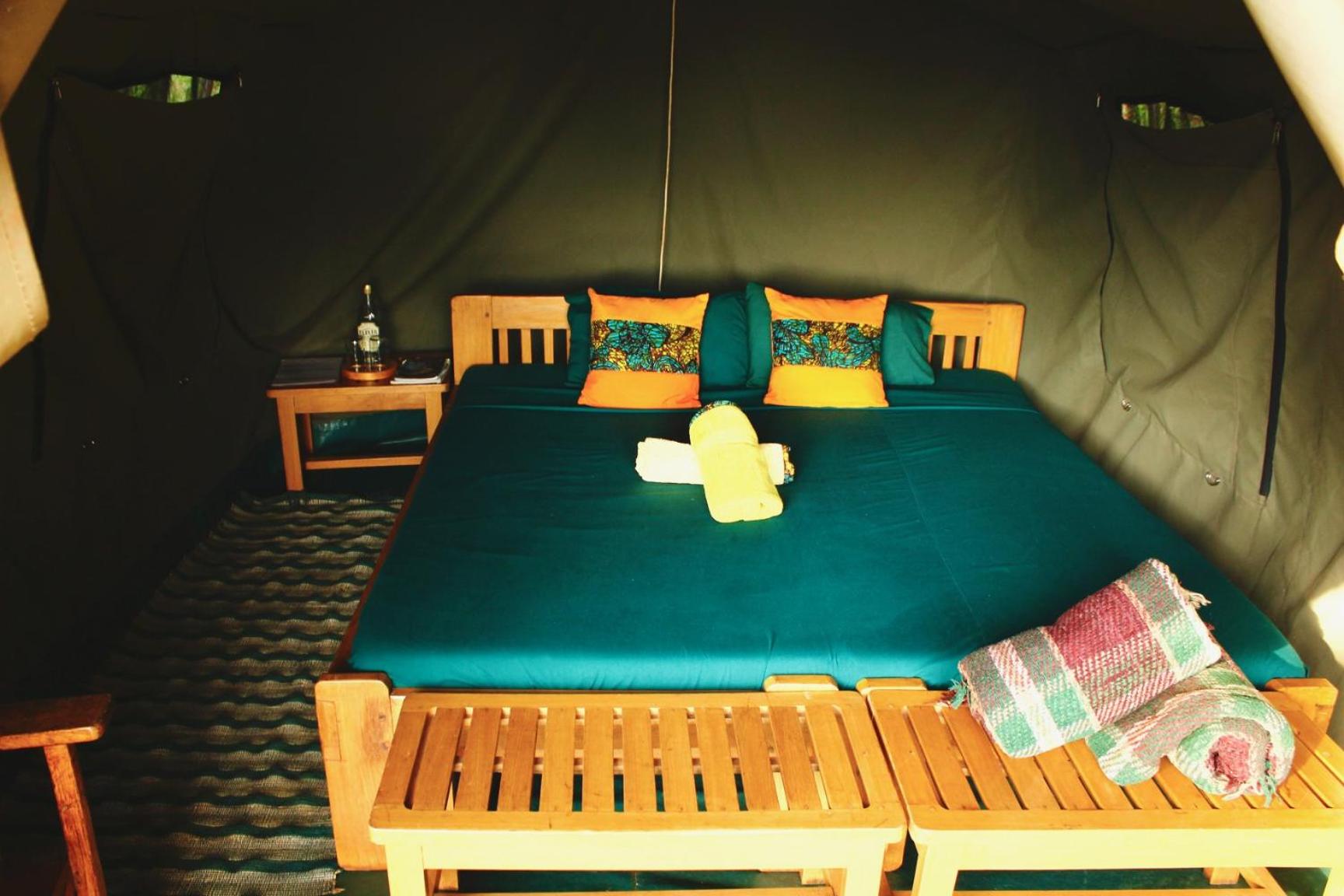Twin Room photo 1