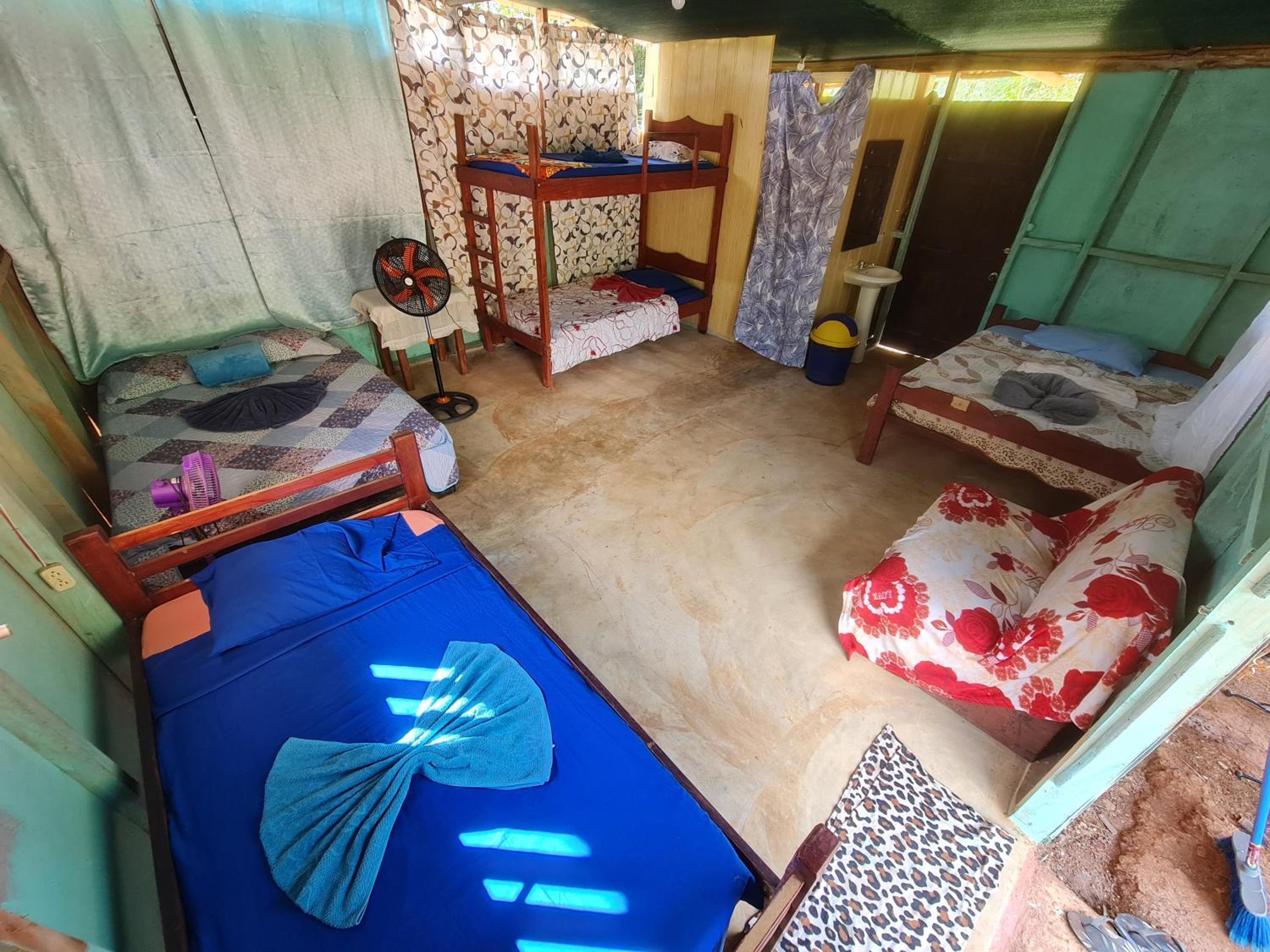 Single Bed in Mixed Dormitory Room photo 3