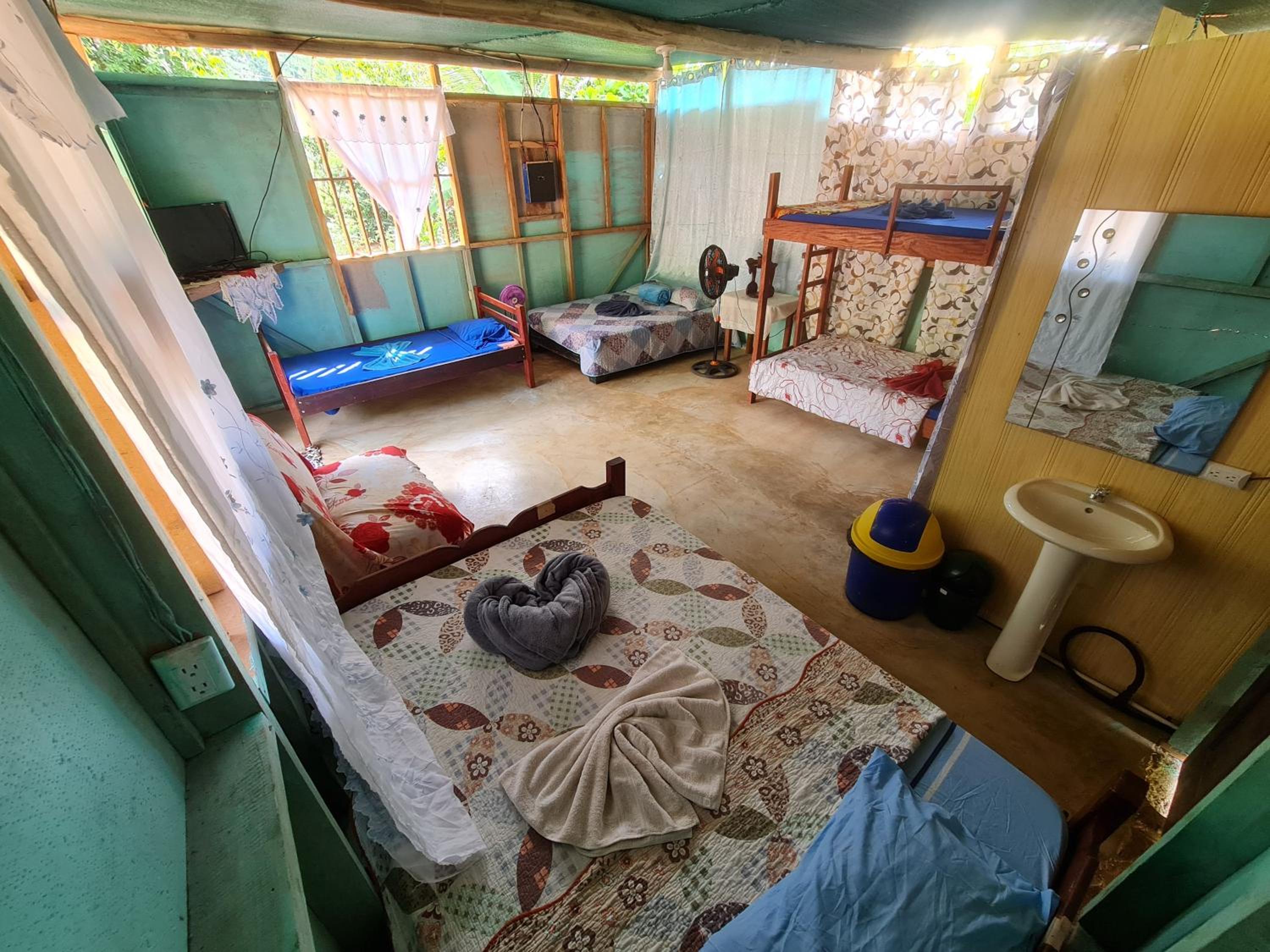 Single Bed in Mixed Dormitory Room photo 1