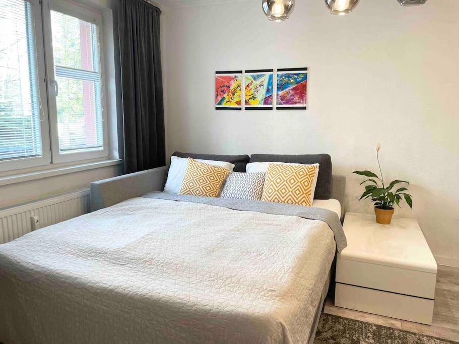 One-Bedroom Apartment photo 3